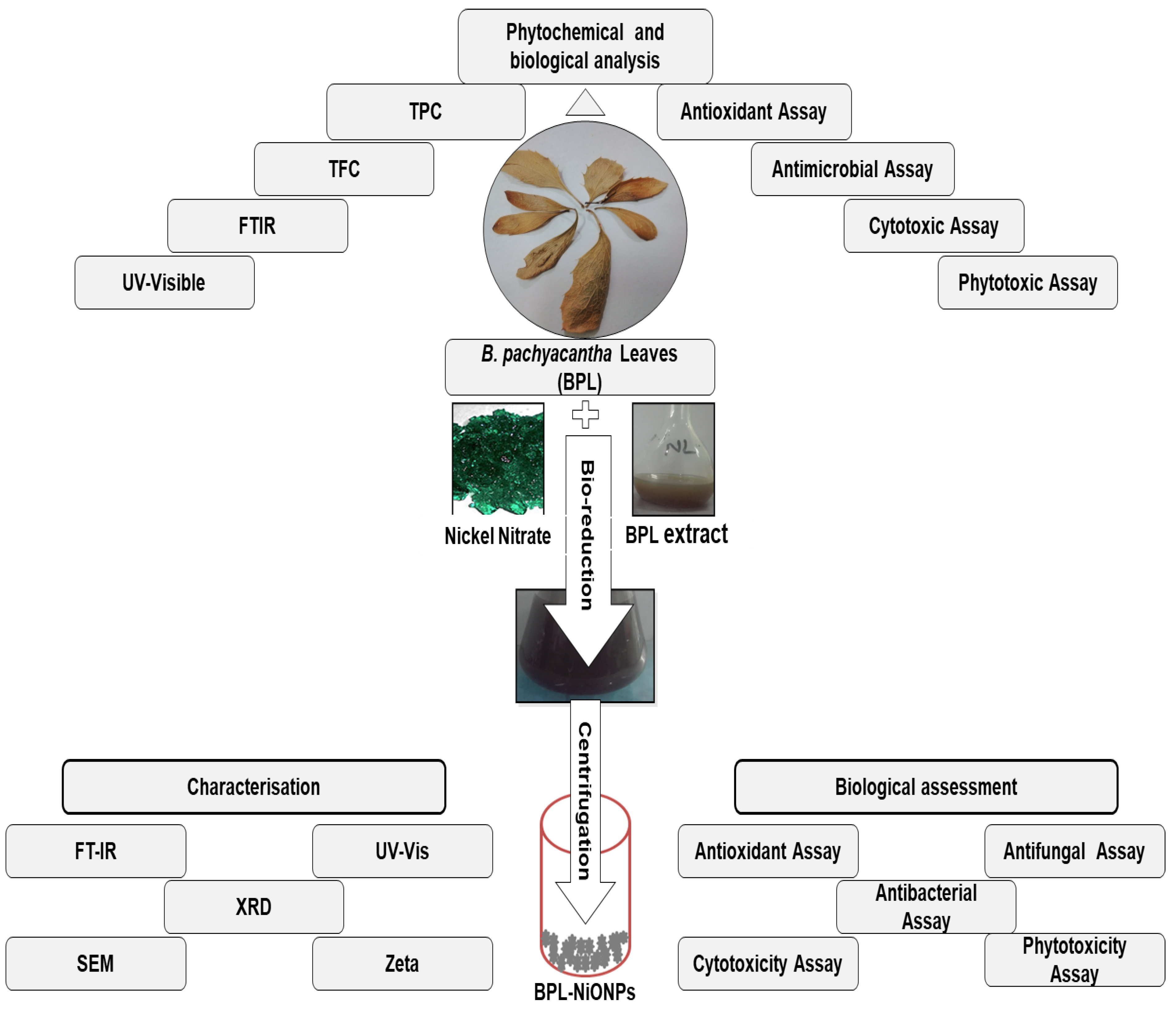 Molecules 27 02064 g010 Molecules 27 02064 g010