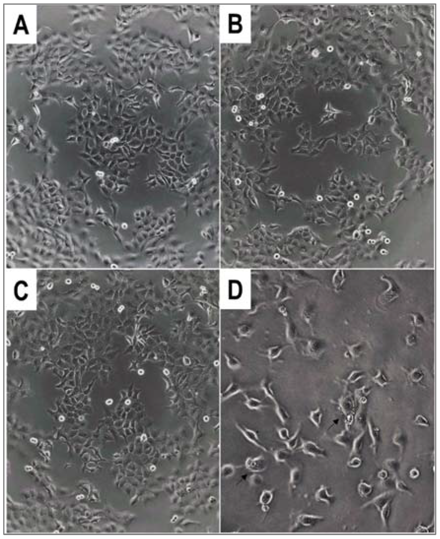 Molecules 27 02067 g002