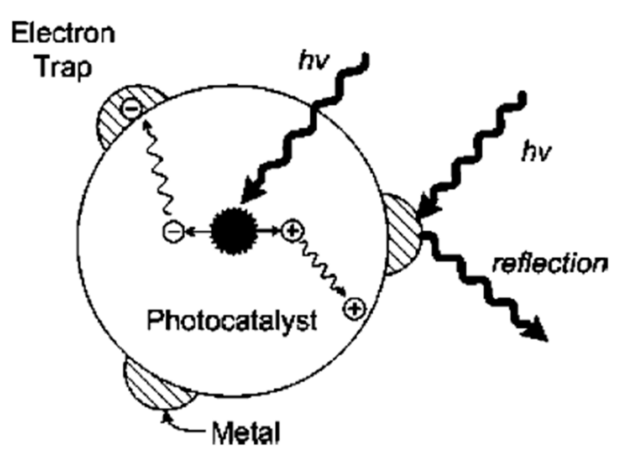 Molecules 27 02069 g011