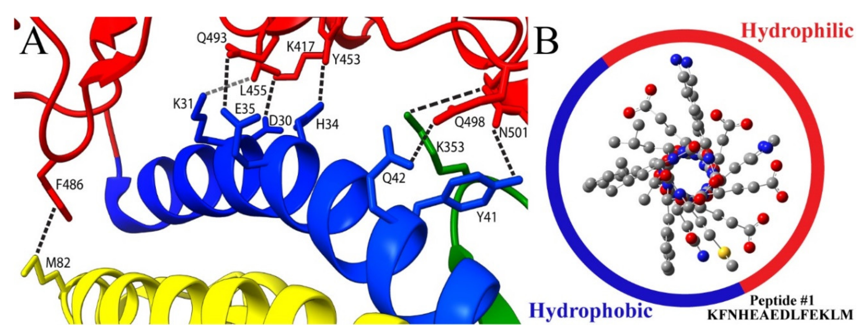 Molecules 27 02070 g001