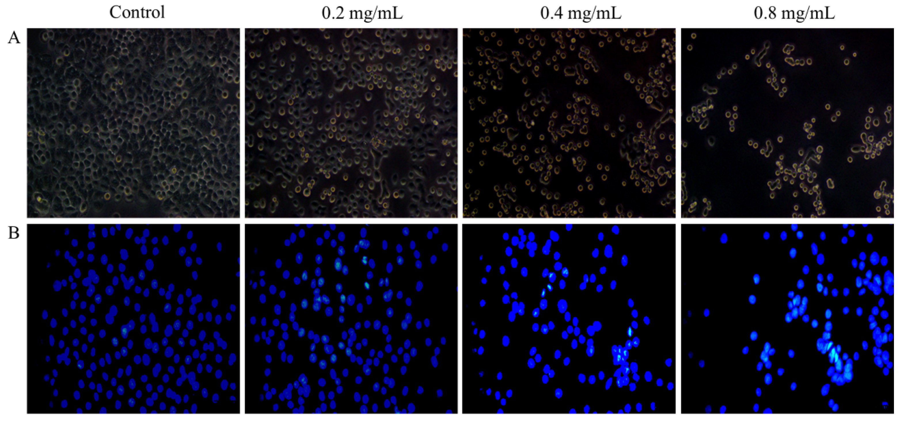 Molecules 27 02071 g008
