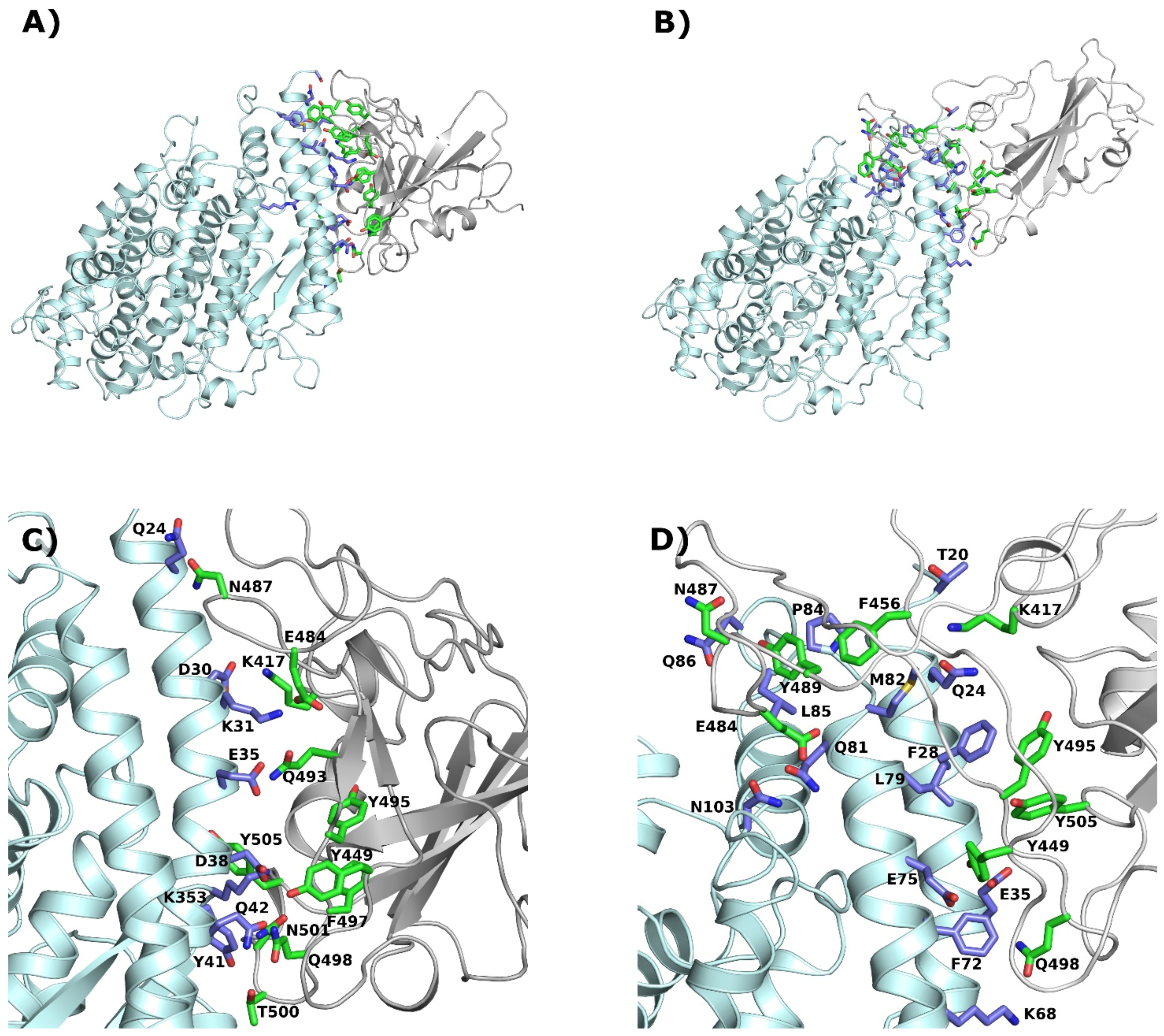Molecules 27 02080 g002