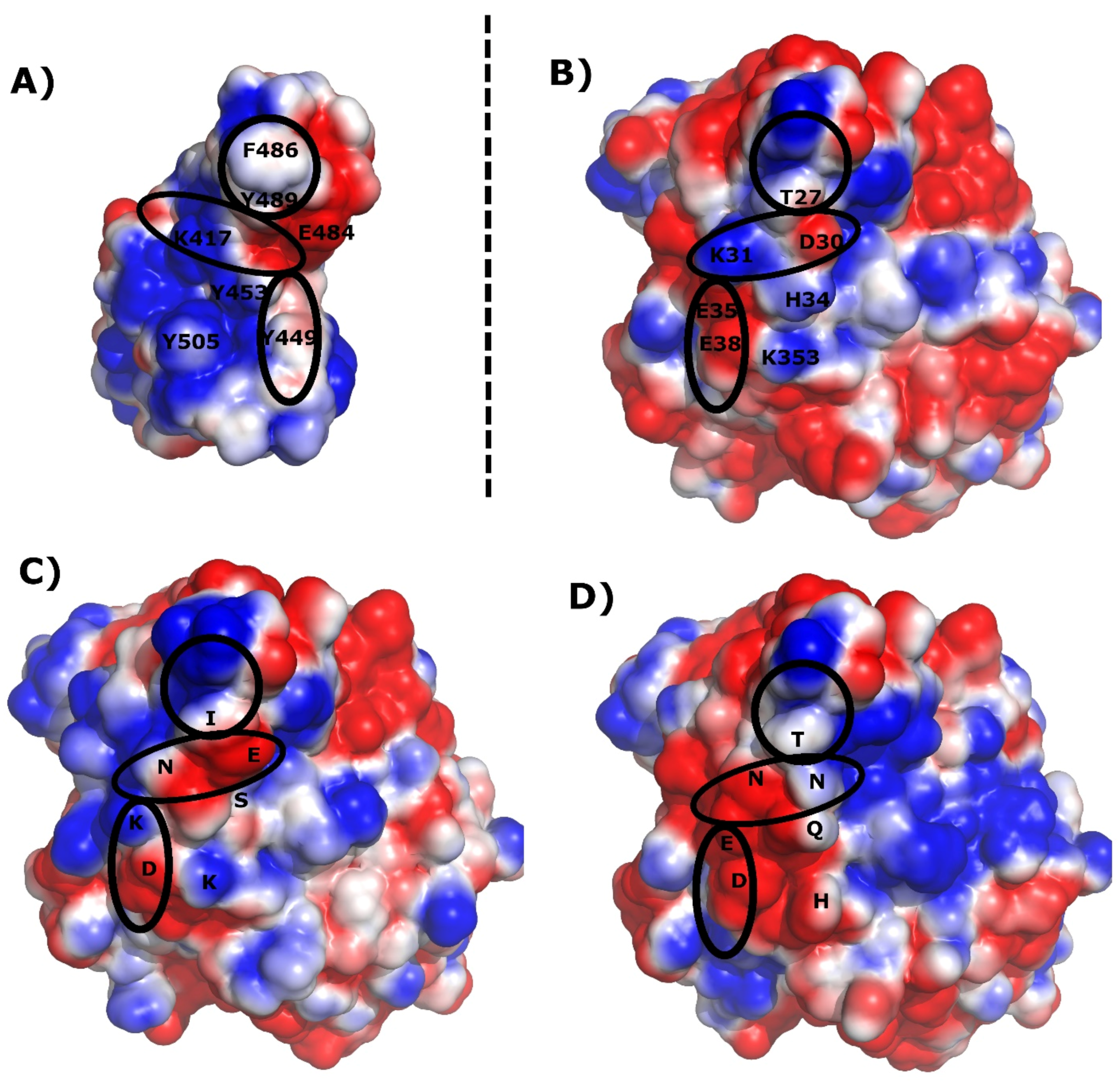 Molecules 27 02080 g003