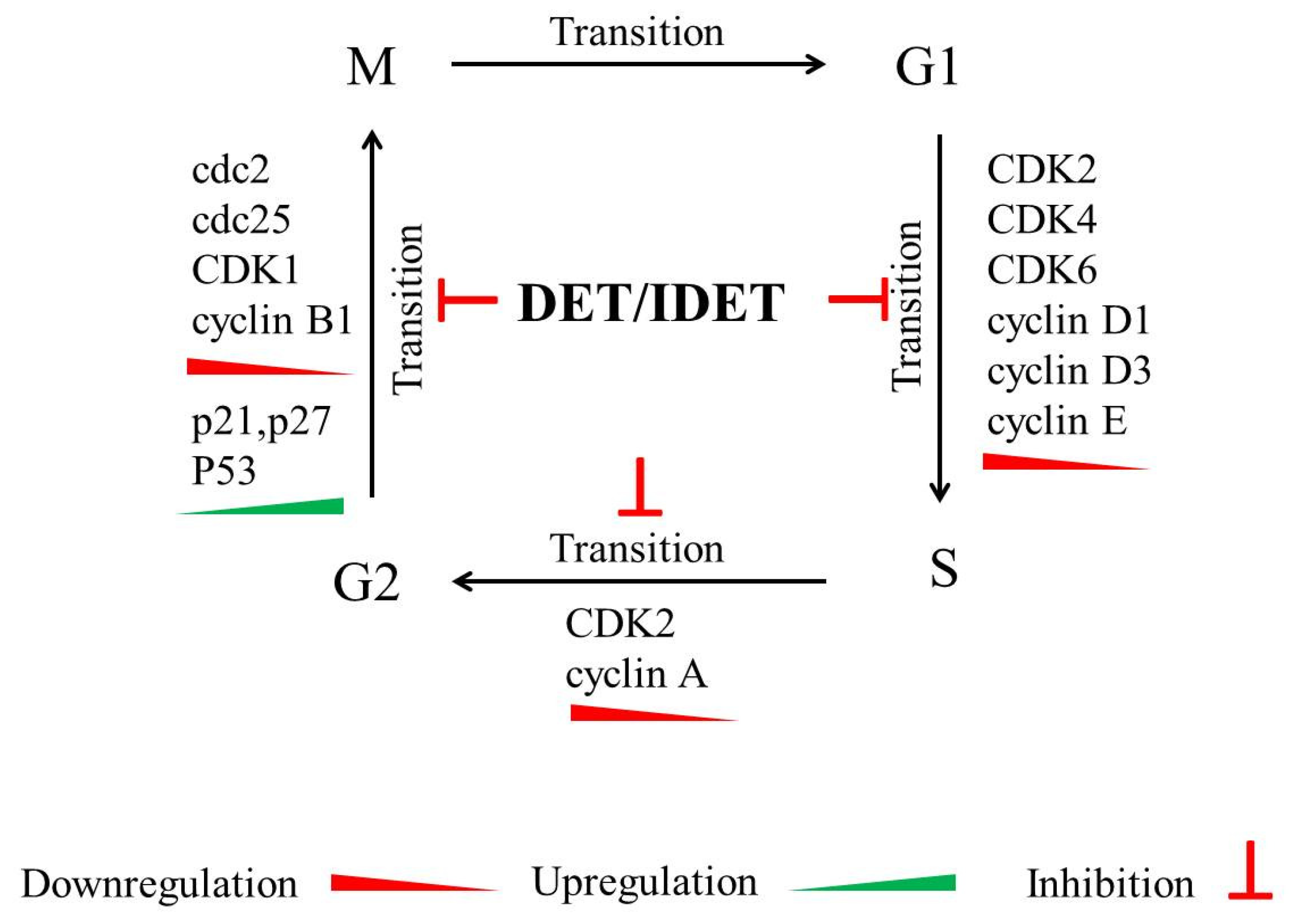 Molecules 27 02086 g002