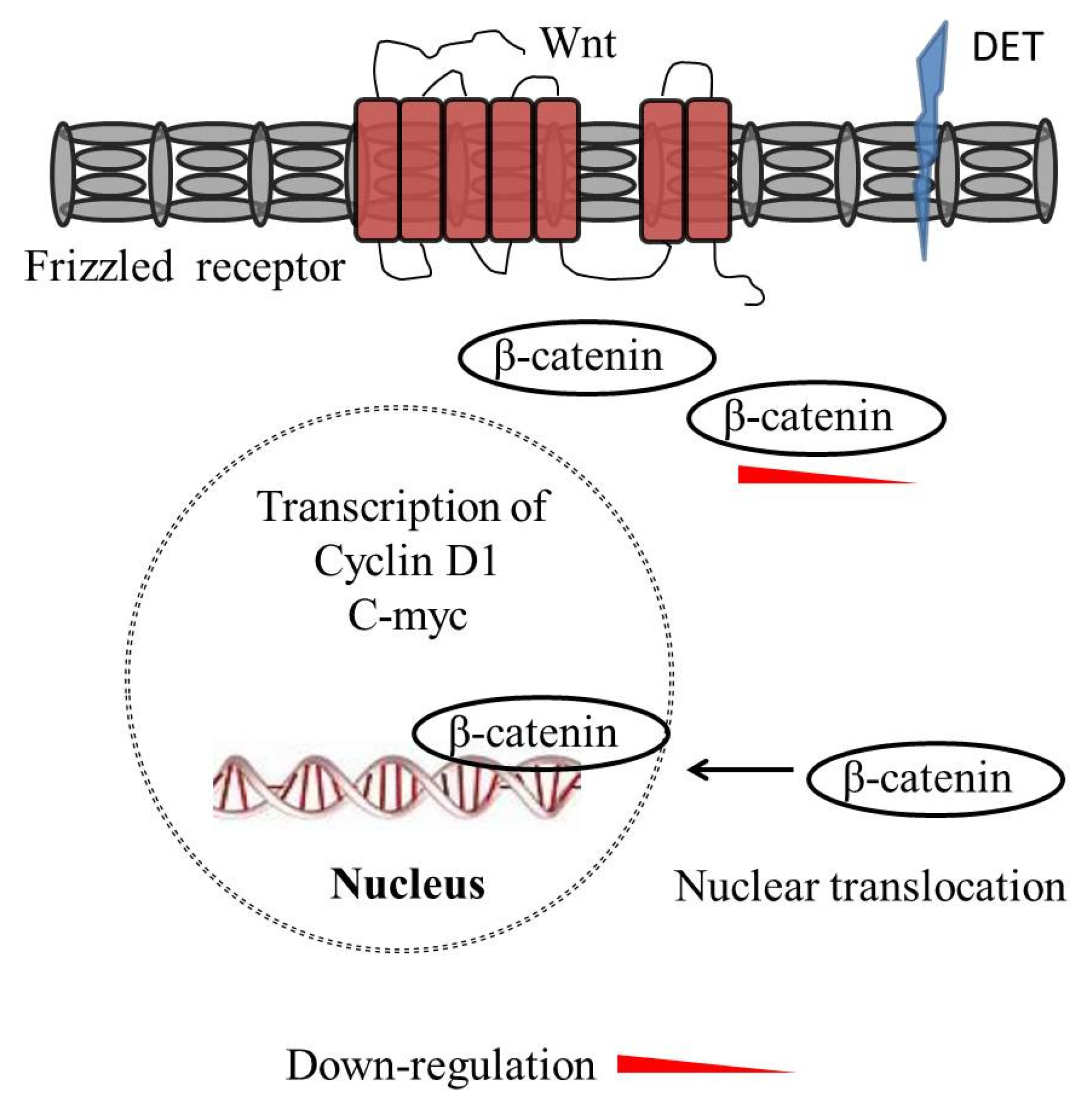 Molecules 27 02086 g004