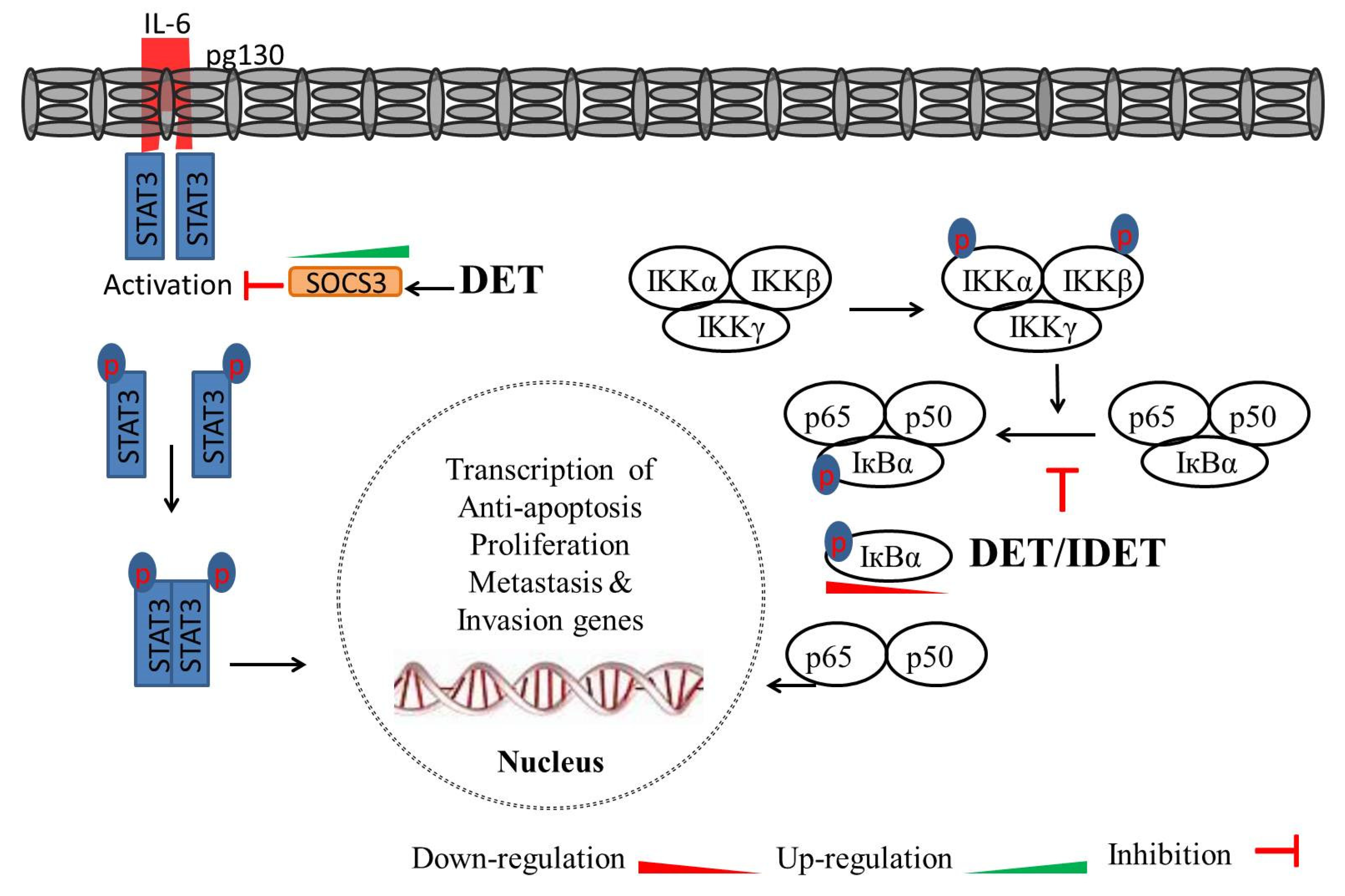 Molecules 27 02086 g005