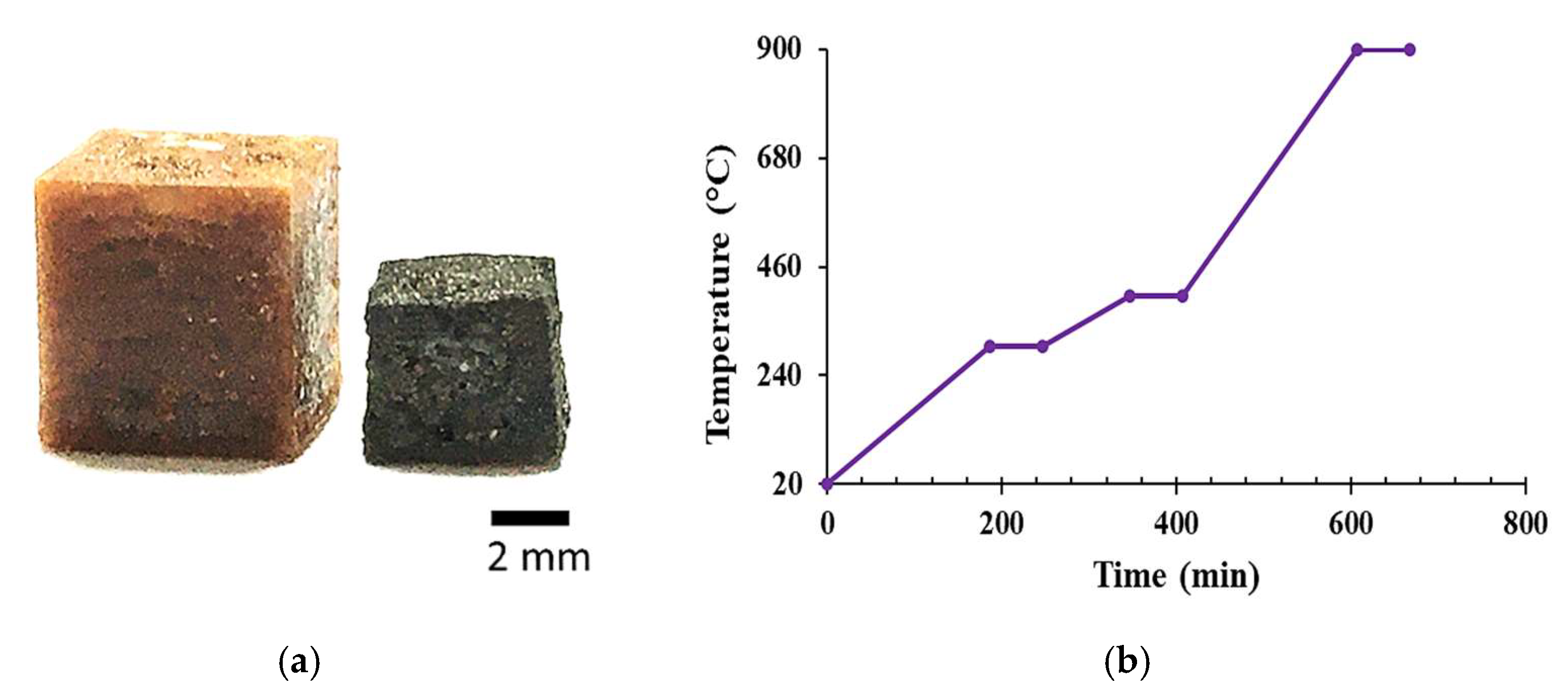 Molecules 27 02091 g002