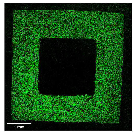Molecules 27 02091 g0a2 550