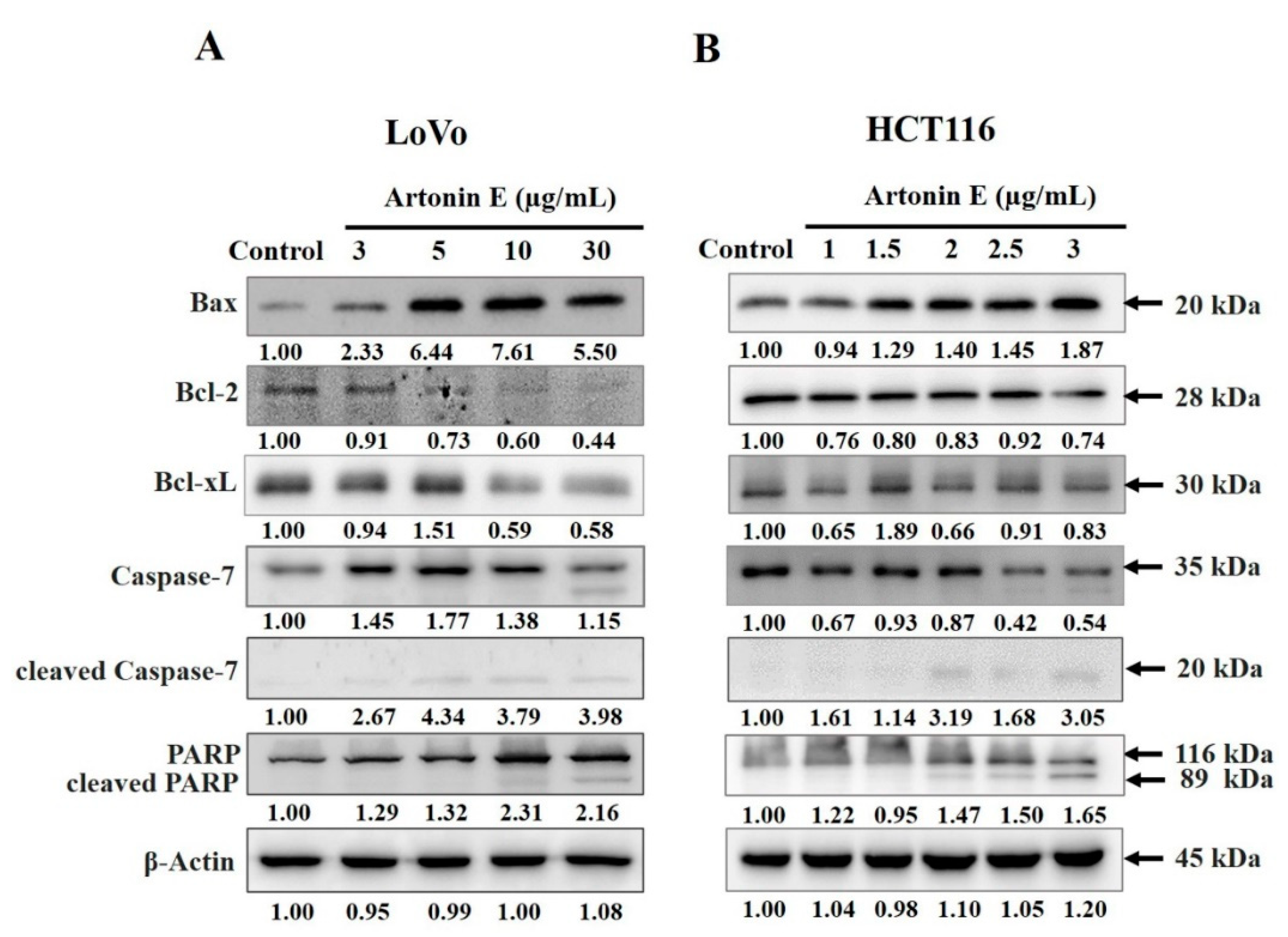 Molecules 27 02095 g005