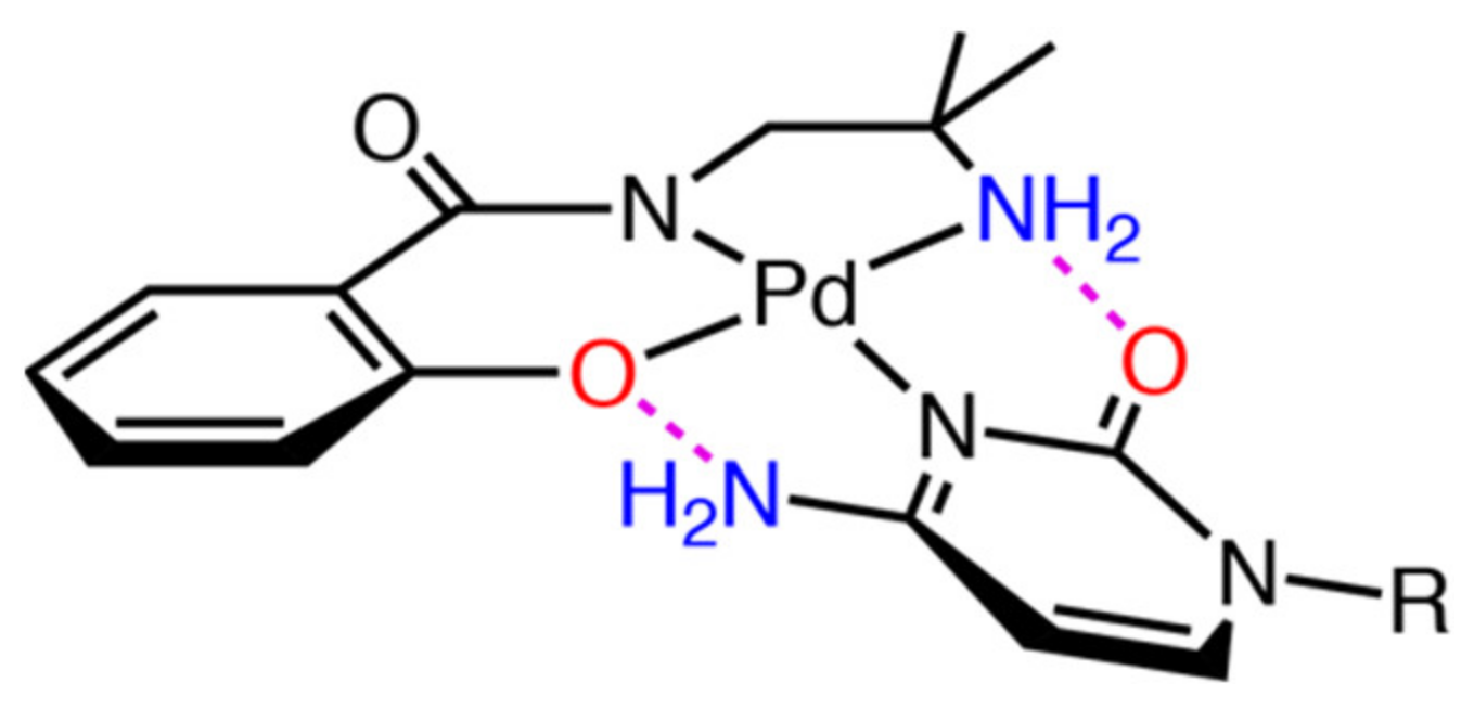 Molecules 27 02098 g007