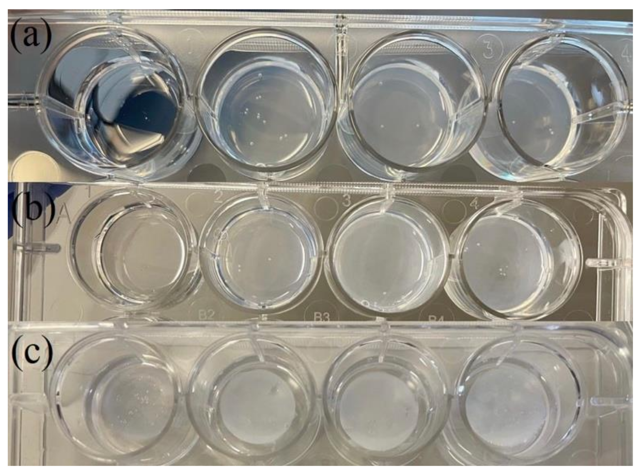 Molecules 27 02099 g001