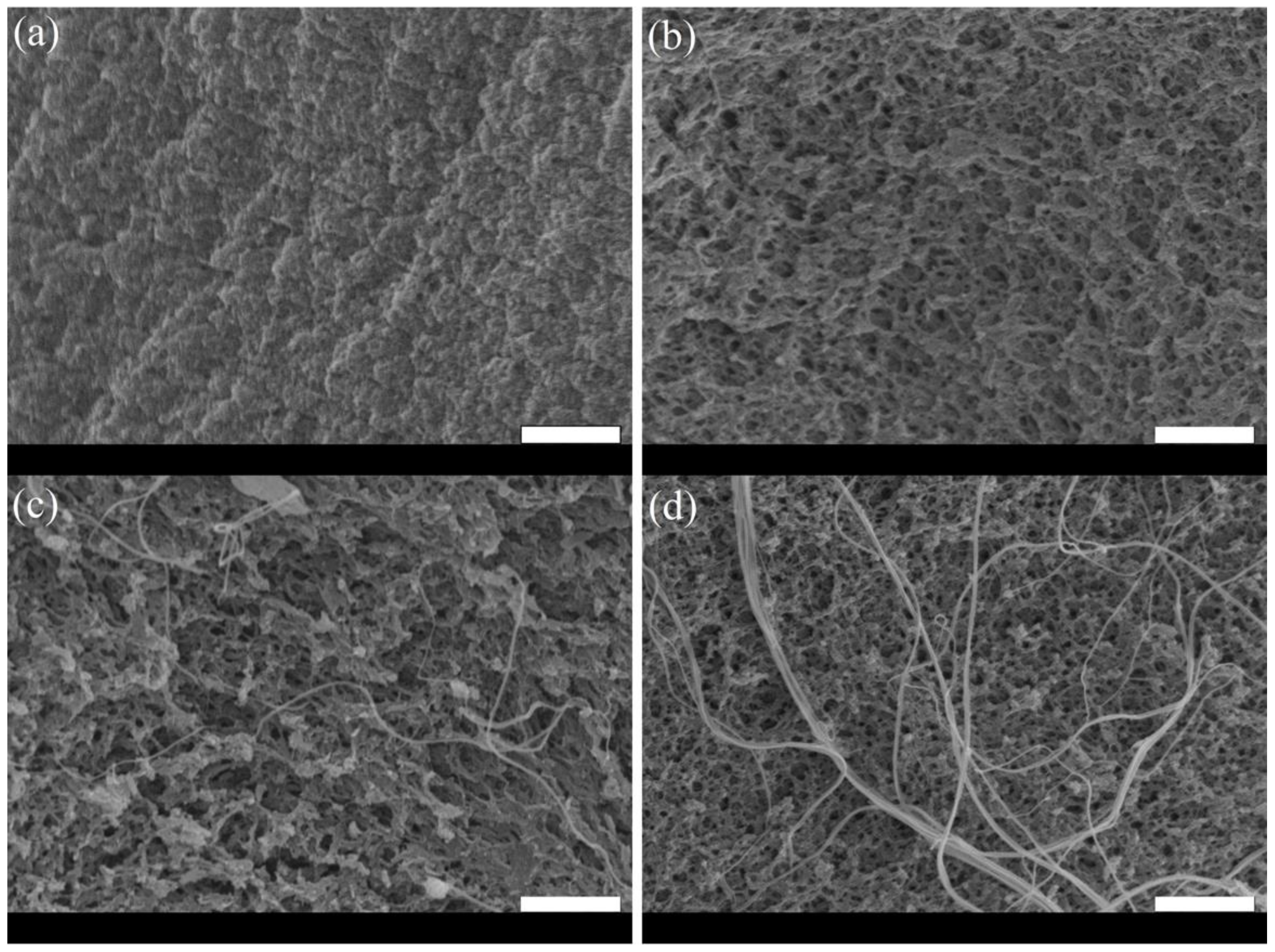 Molecules 27 02099 g003