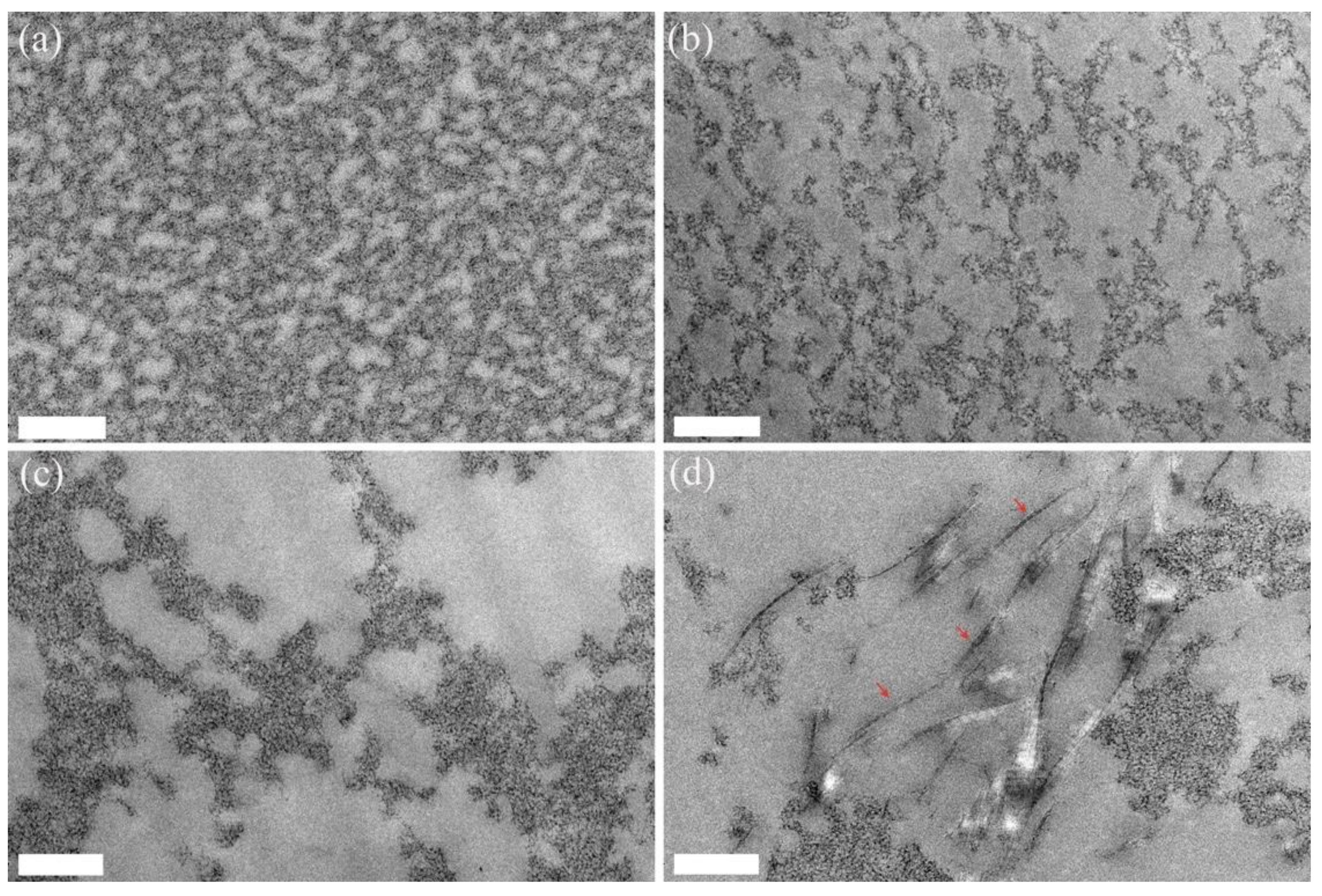 Molecules 27 02099 g004
