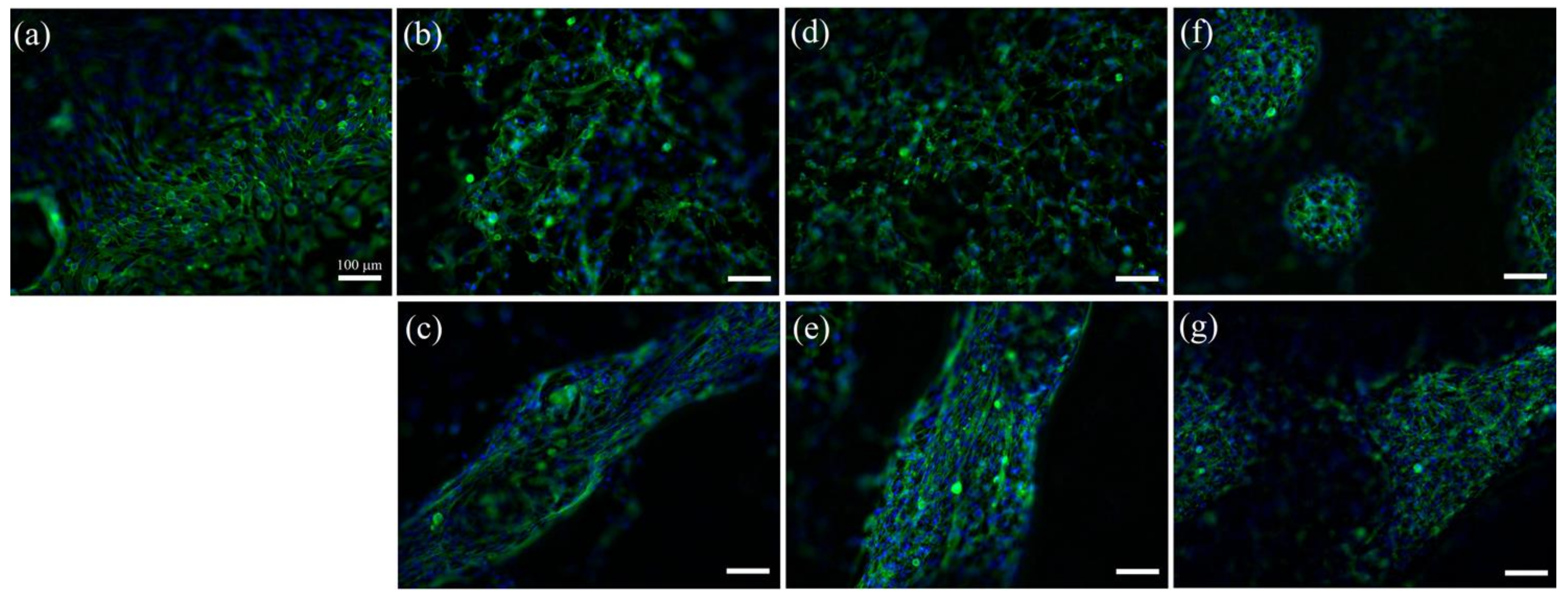 Molecules 27 02099 g006