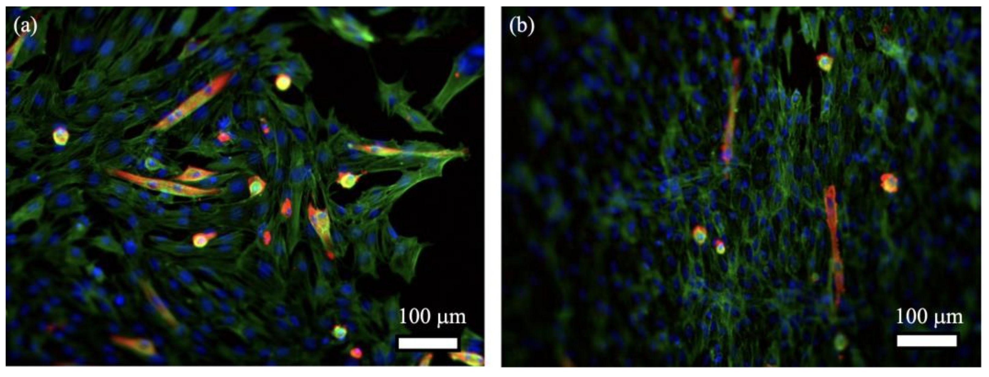 Molecules 27 02099 g007