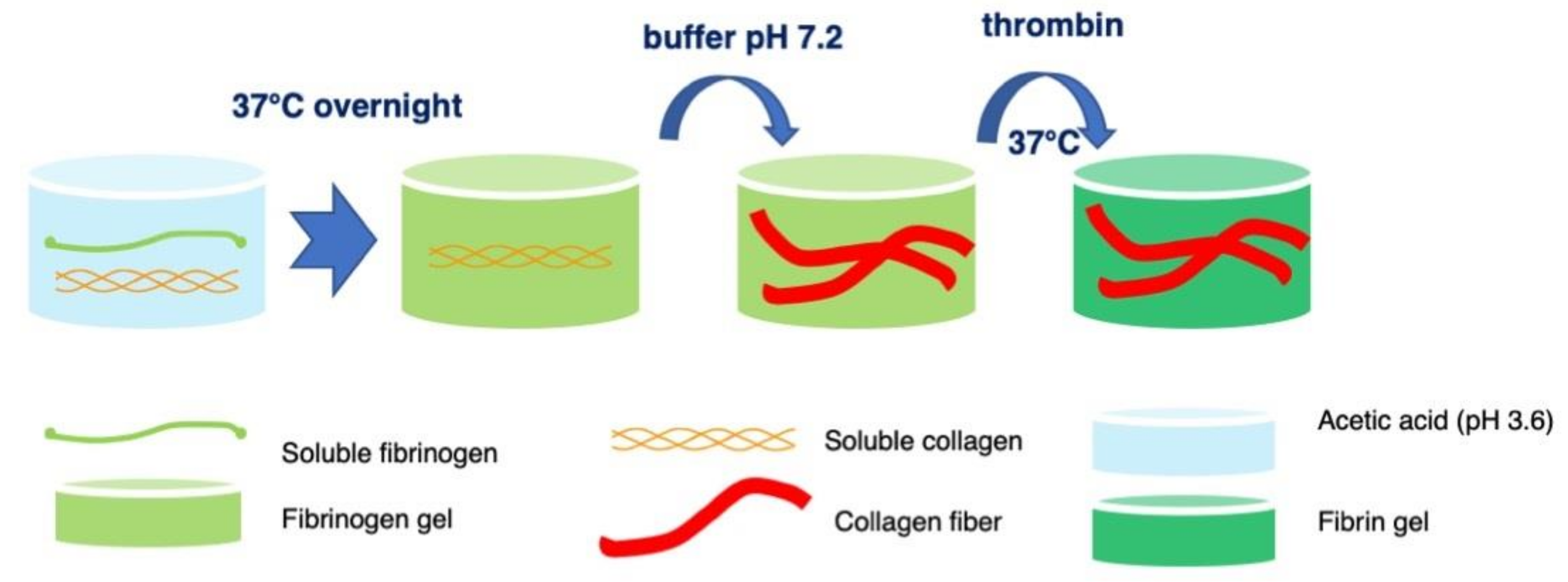 Molecules 27 02099 sch001
