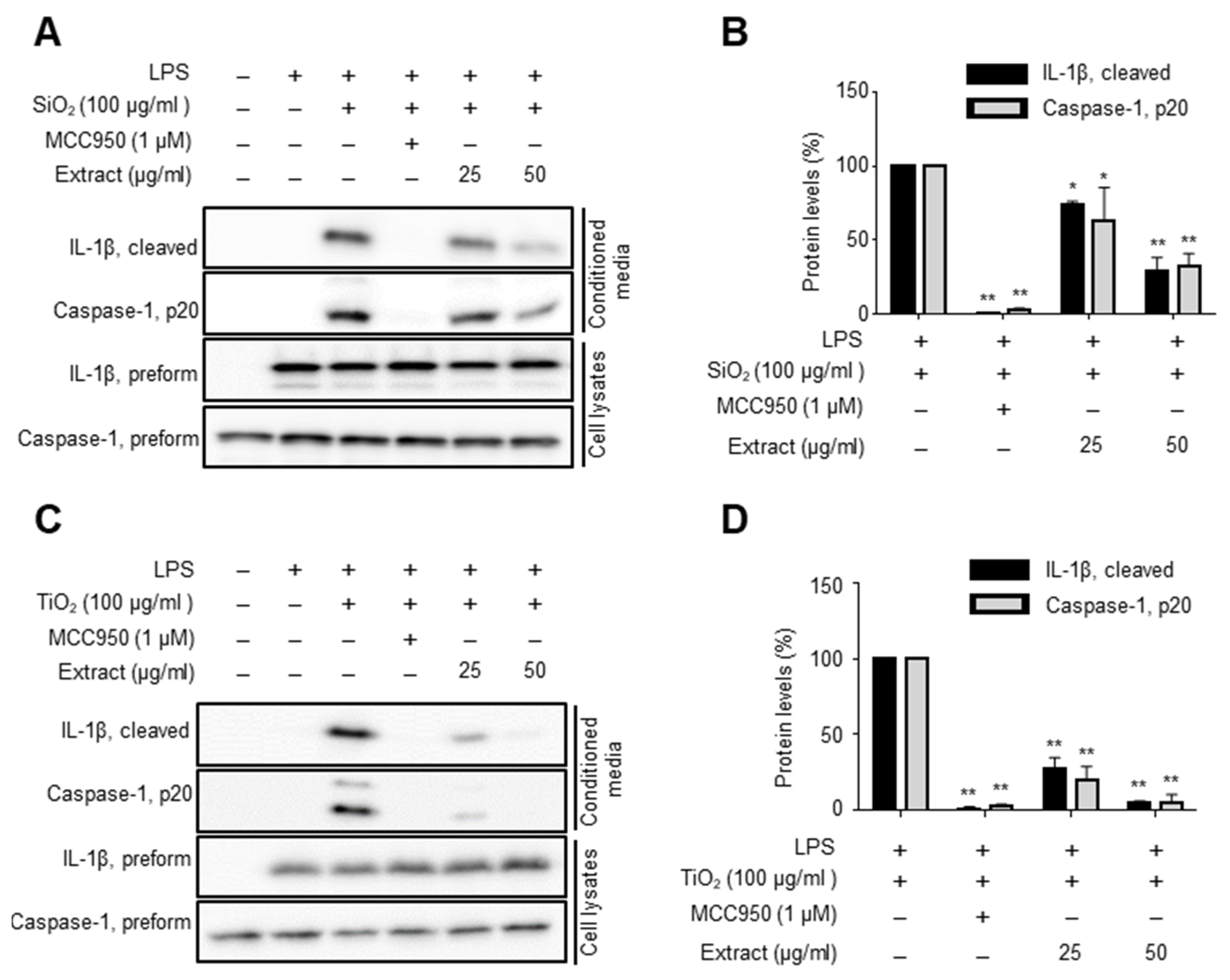 Molecules 27 02101 g001