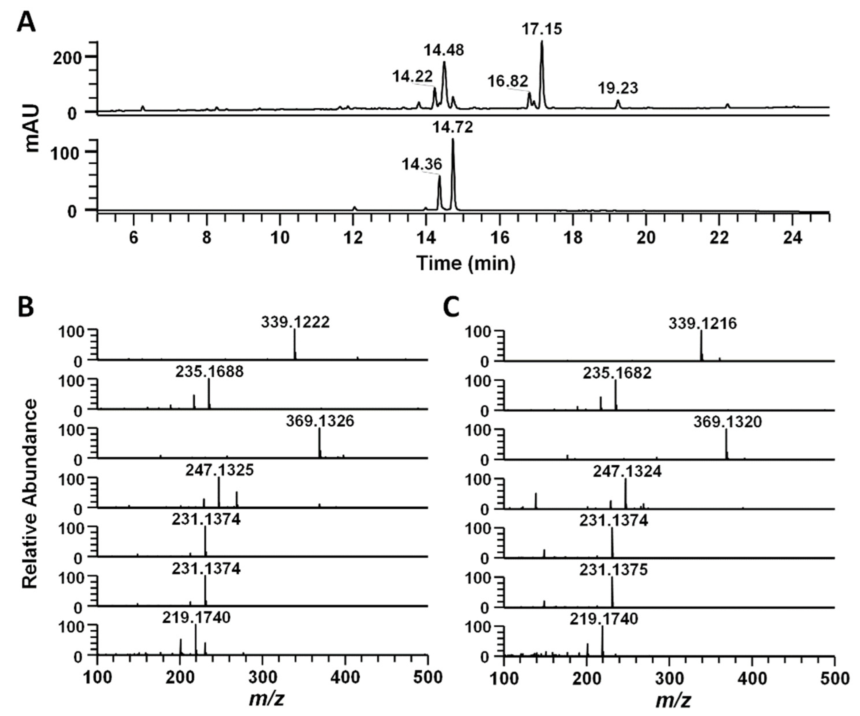 Molecules 27 02101 g002