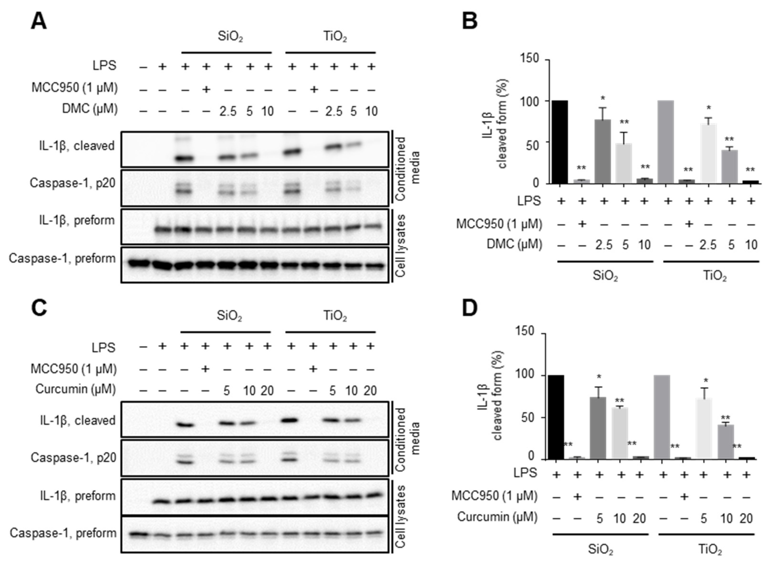 Molecules 27 02101 g003