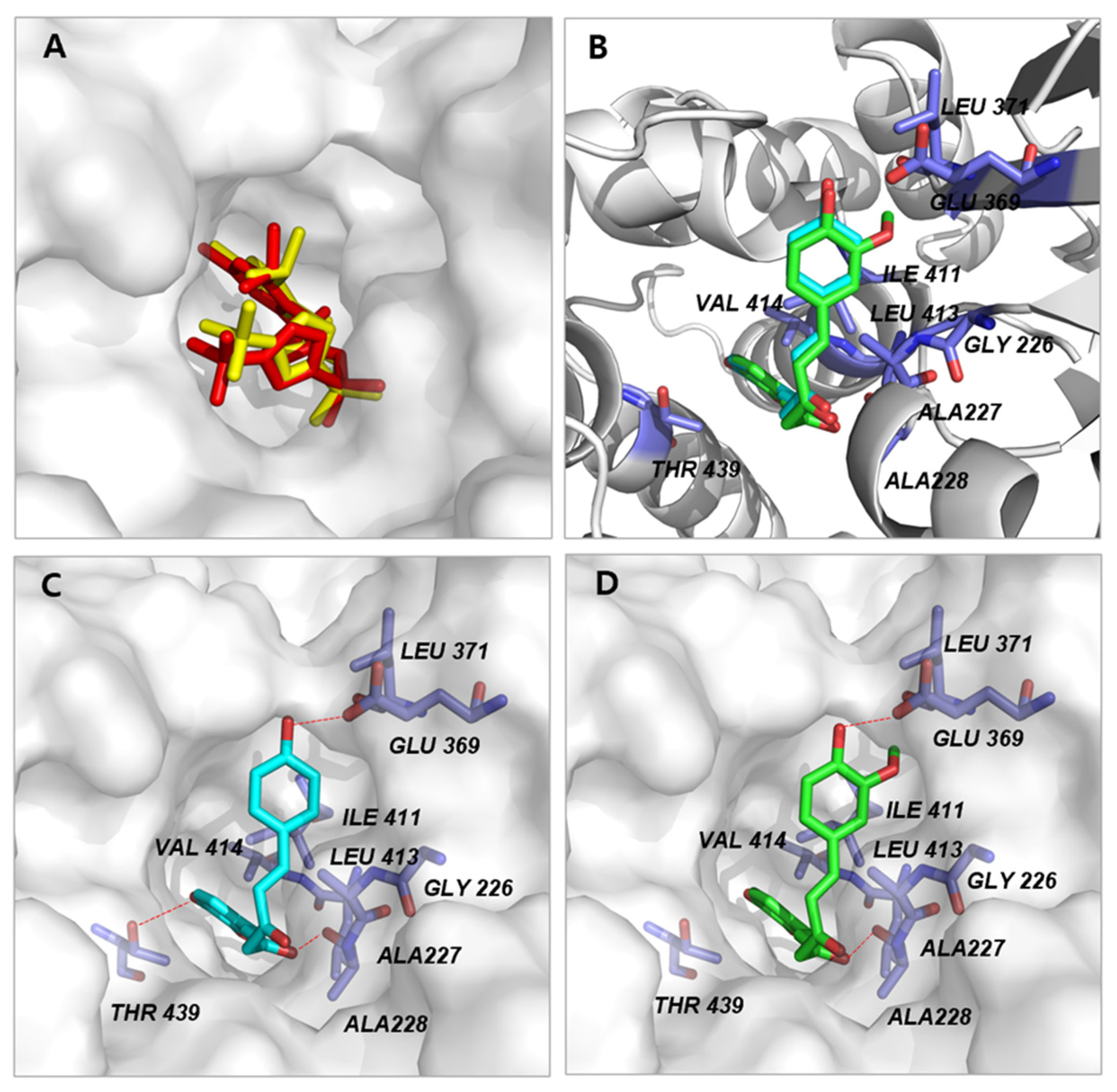 Molecules 27 02101 g004