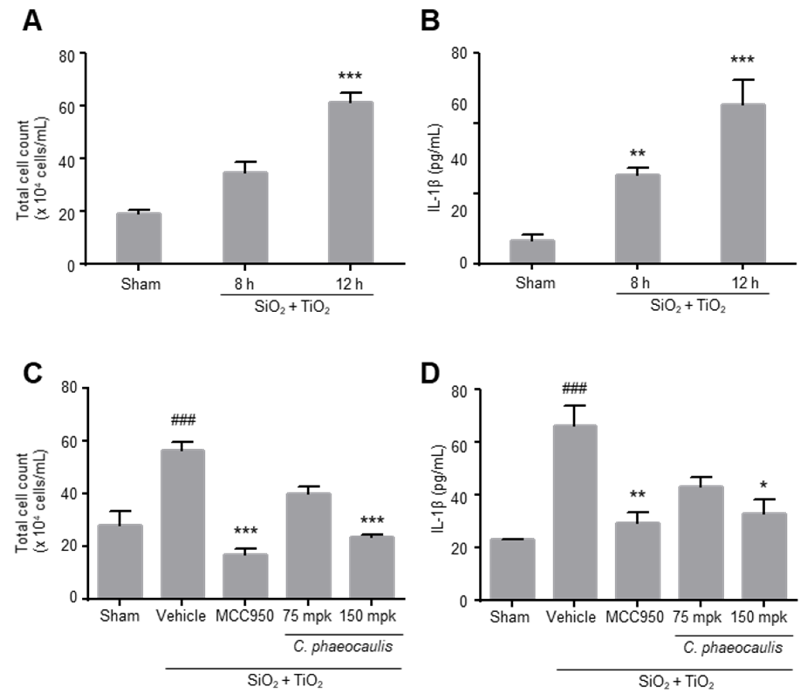 Molecules 27 02101 g005