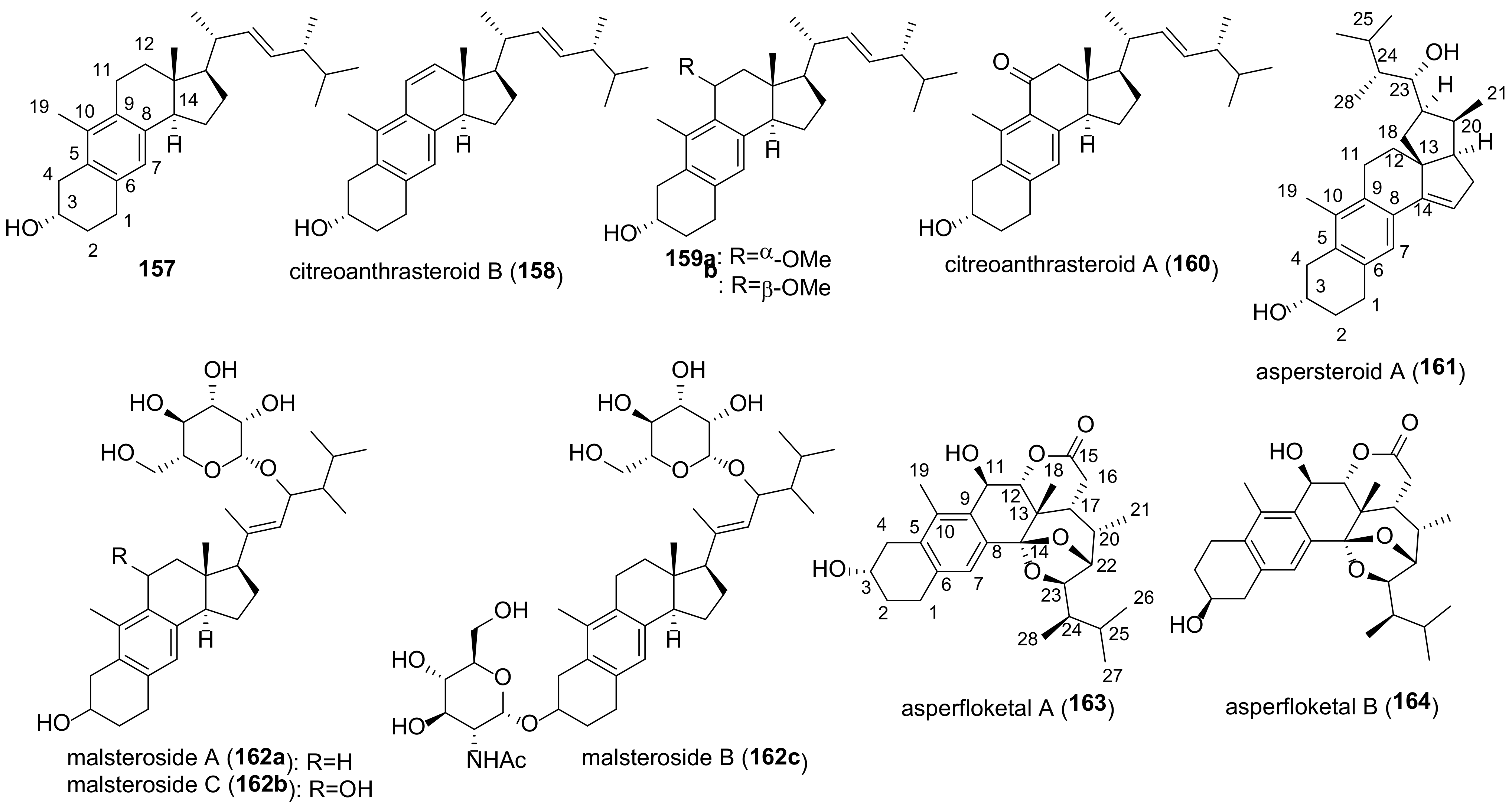 Molecules 27 02103 g017