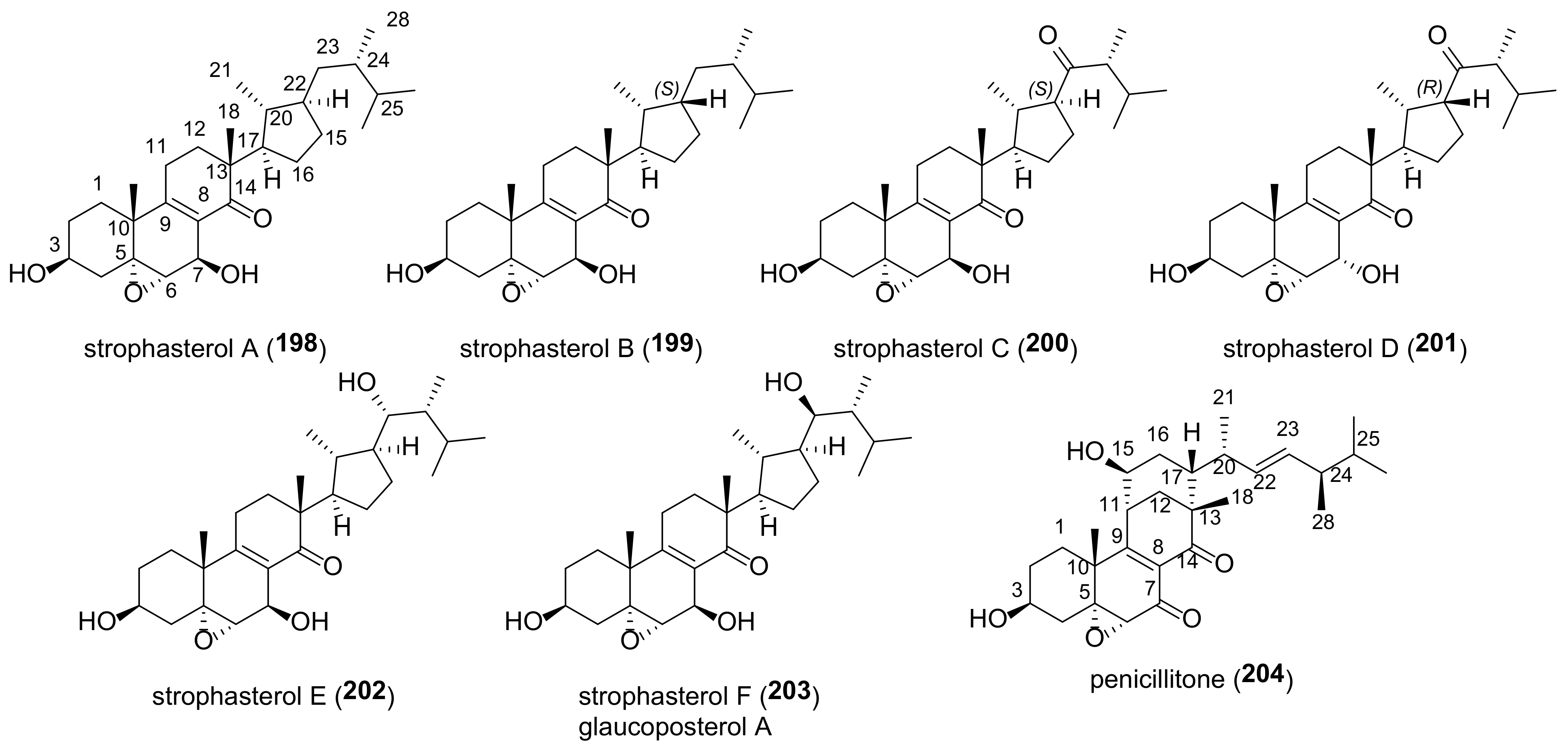 Molecules 27 02103 g021