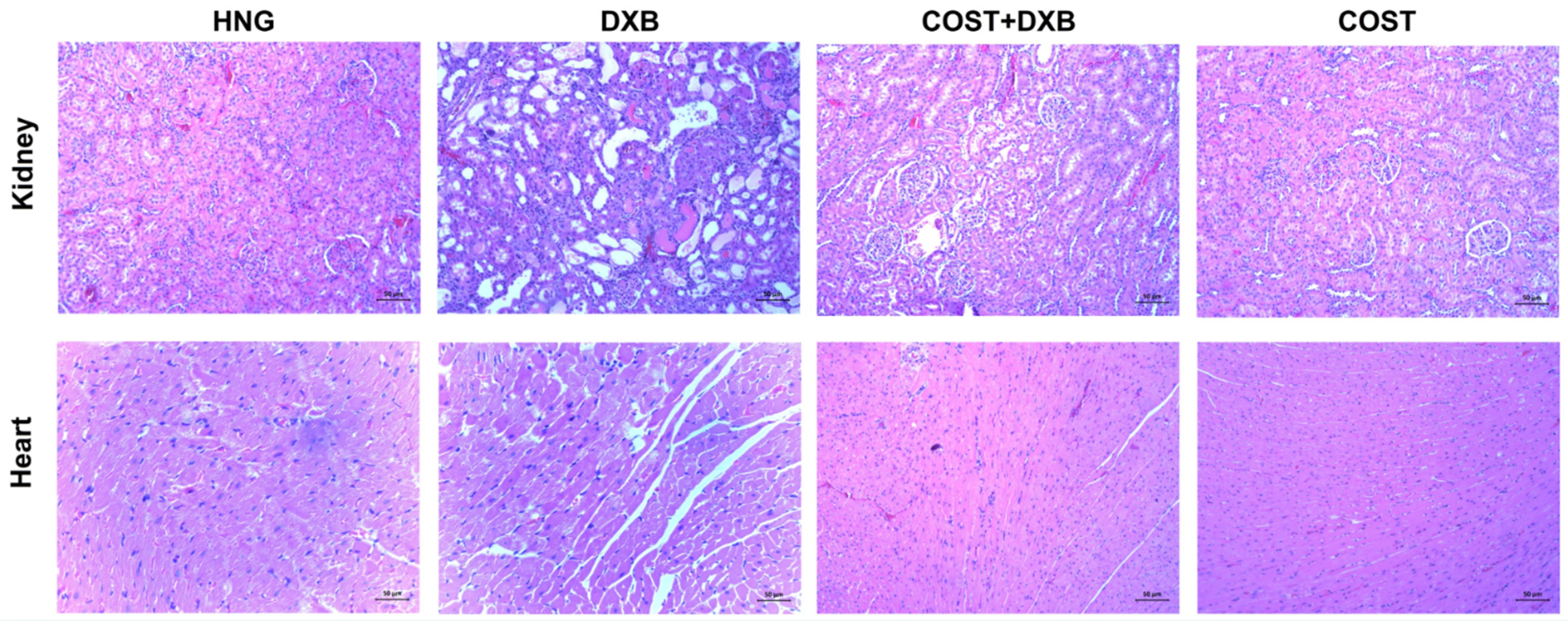 Molecules 27 02122 g005