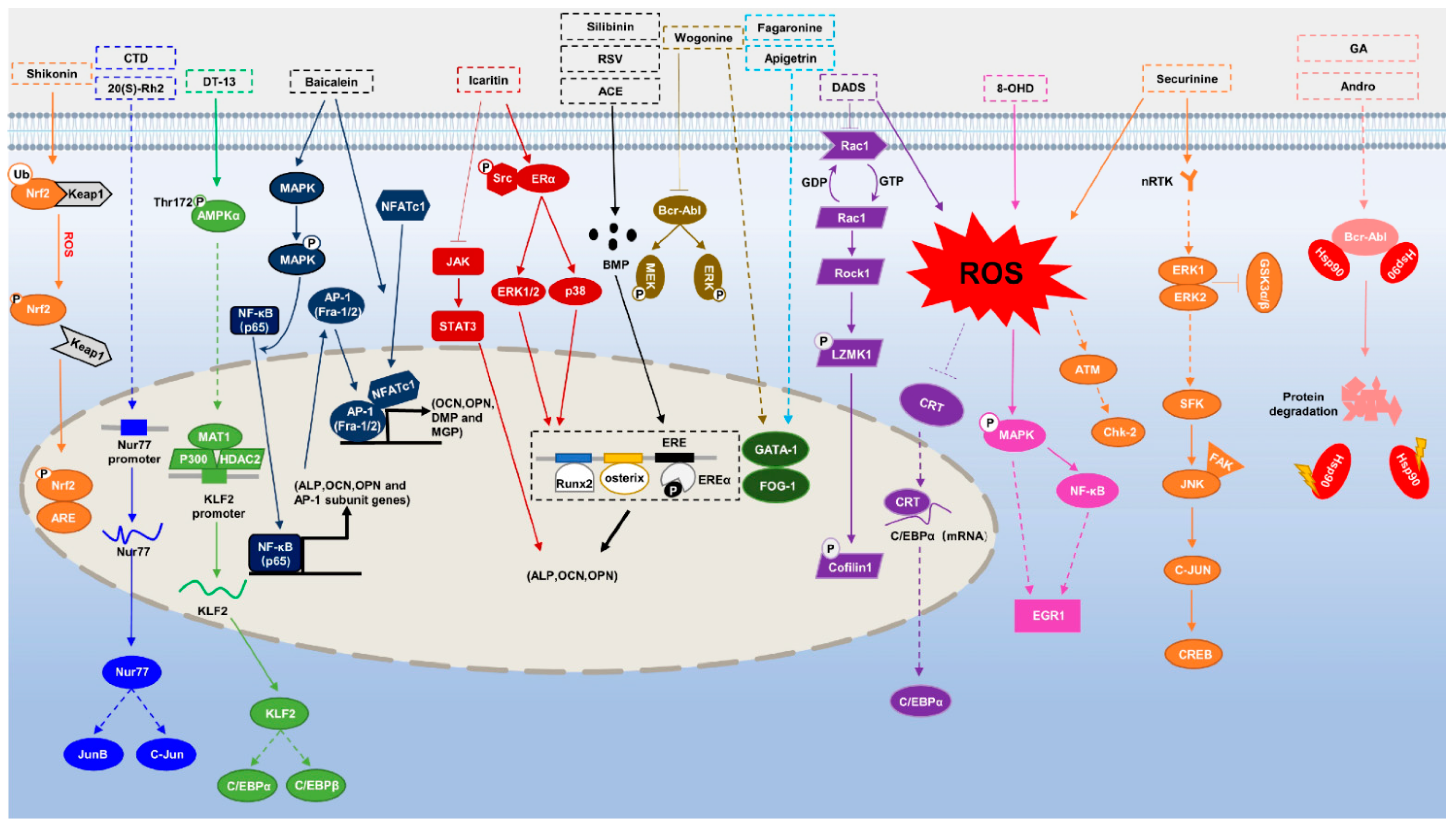 Molecules 27 02128 g001 Molecules 27 02128 g001