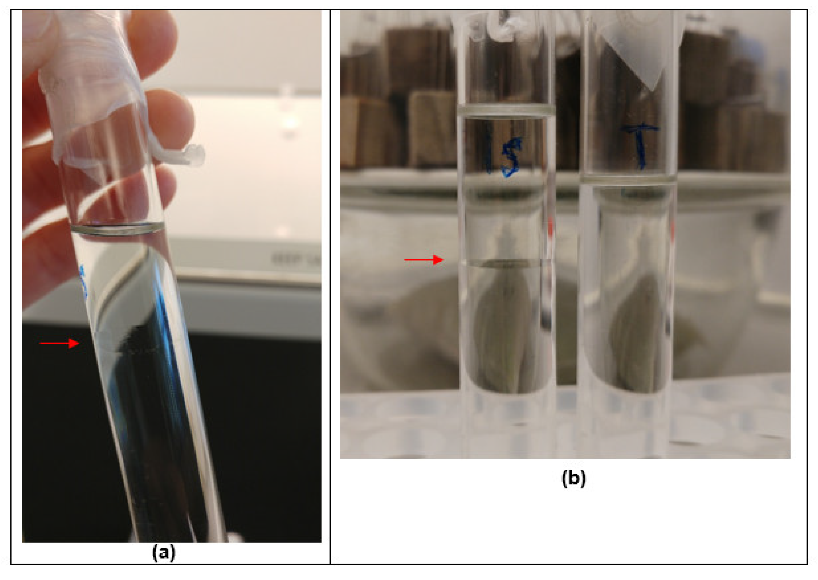 Molecules 27 02133 g011