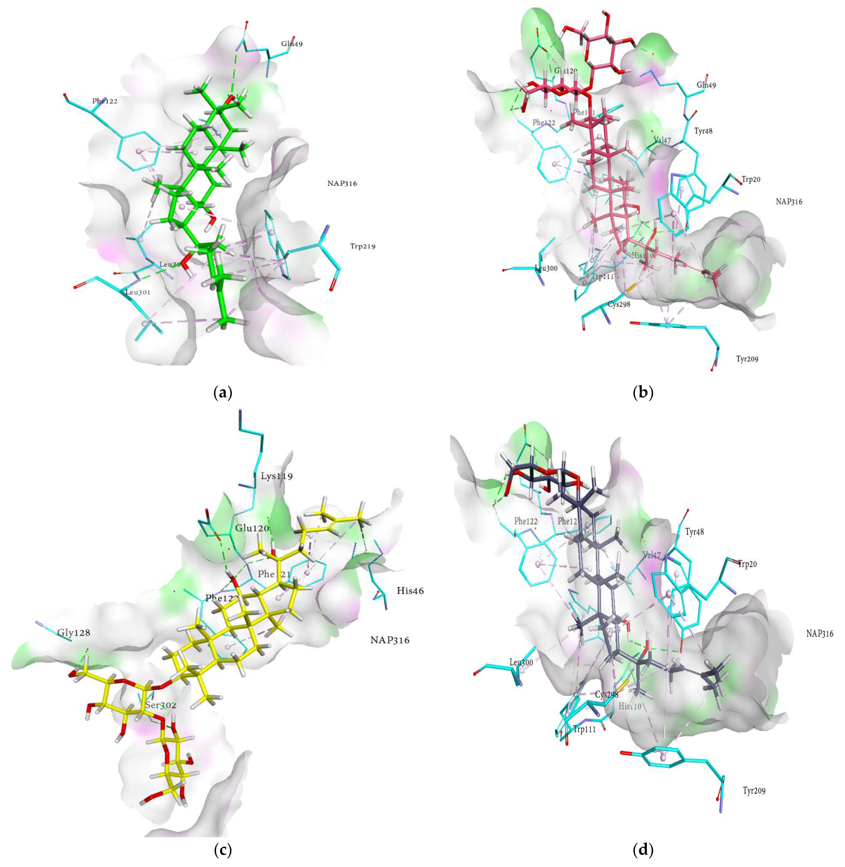 Molecules 27 02134 g004a