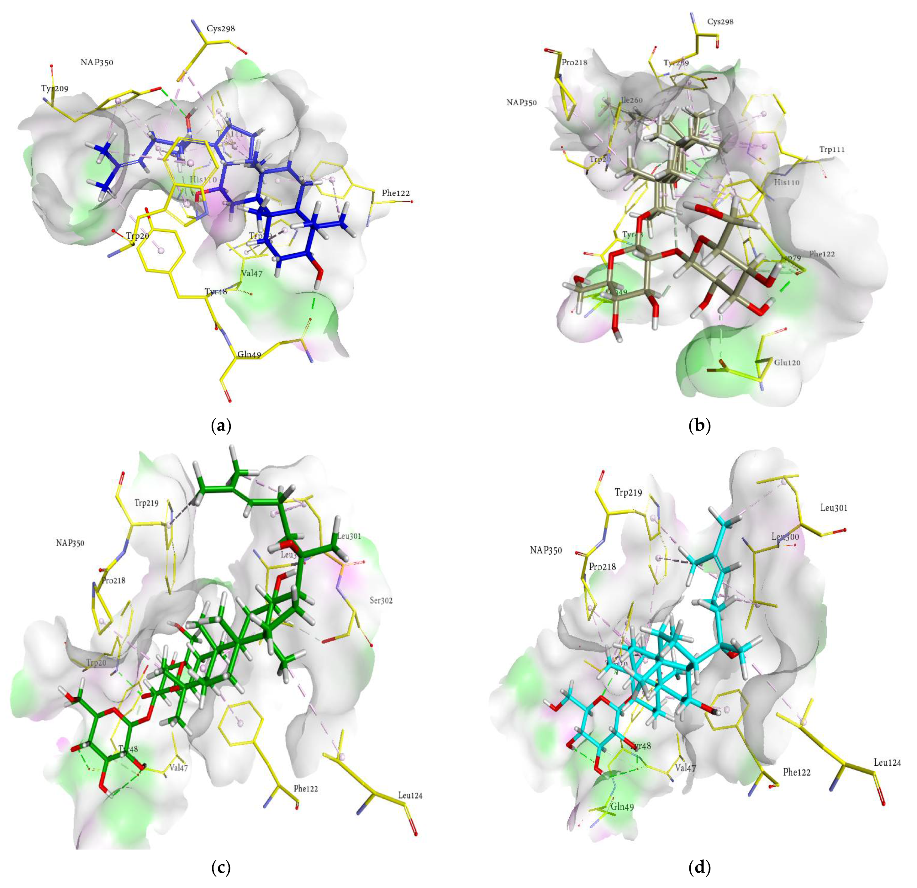 Molecules 27 02134 g005a