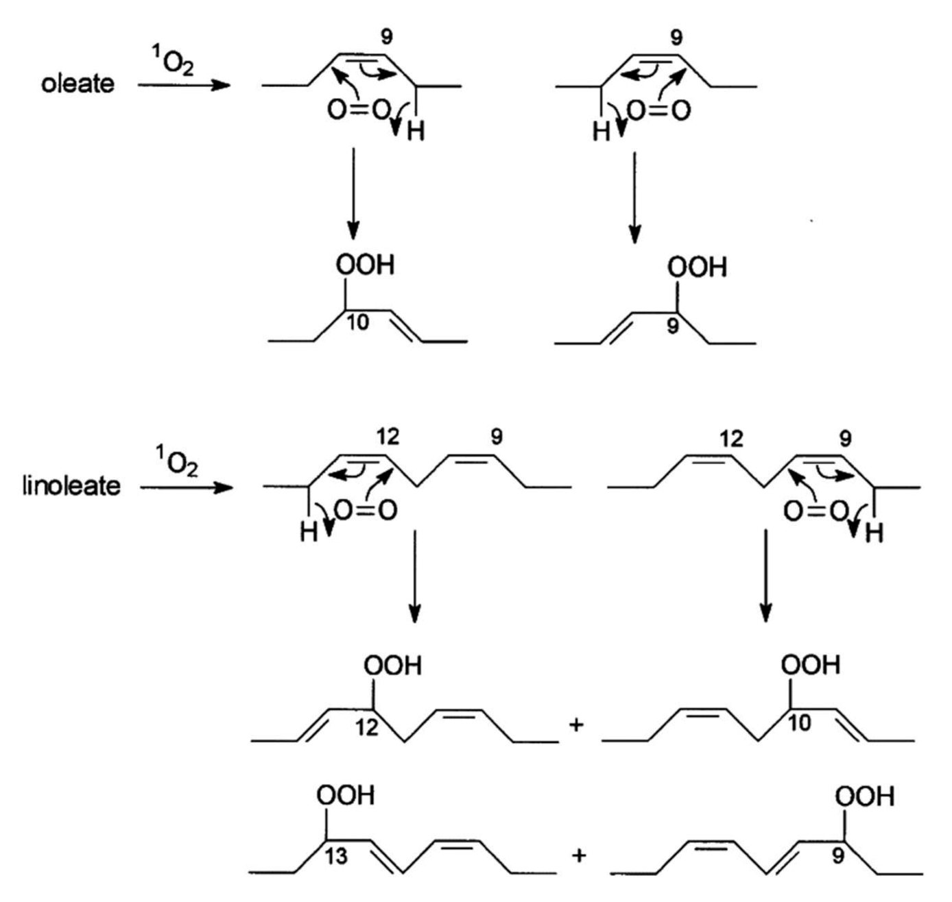 Molecules 27 02139 g003