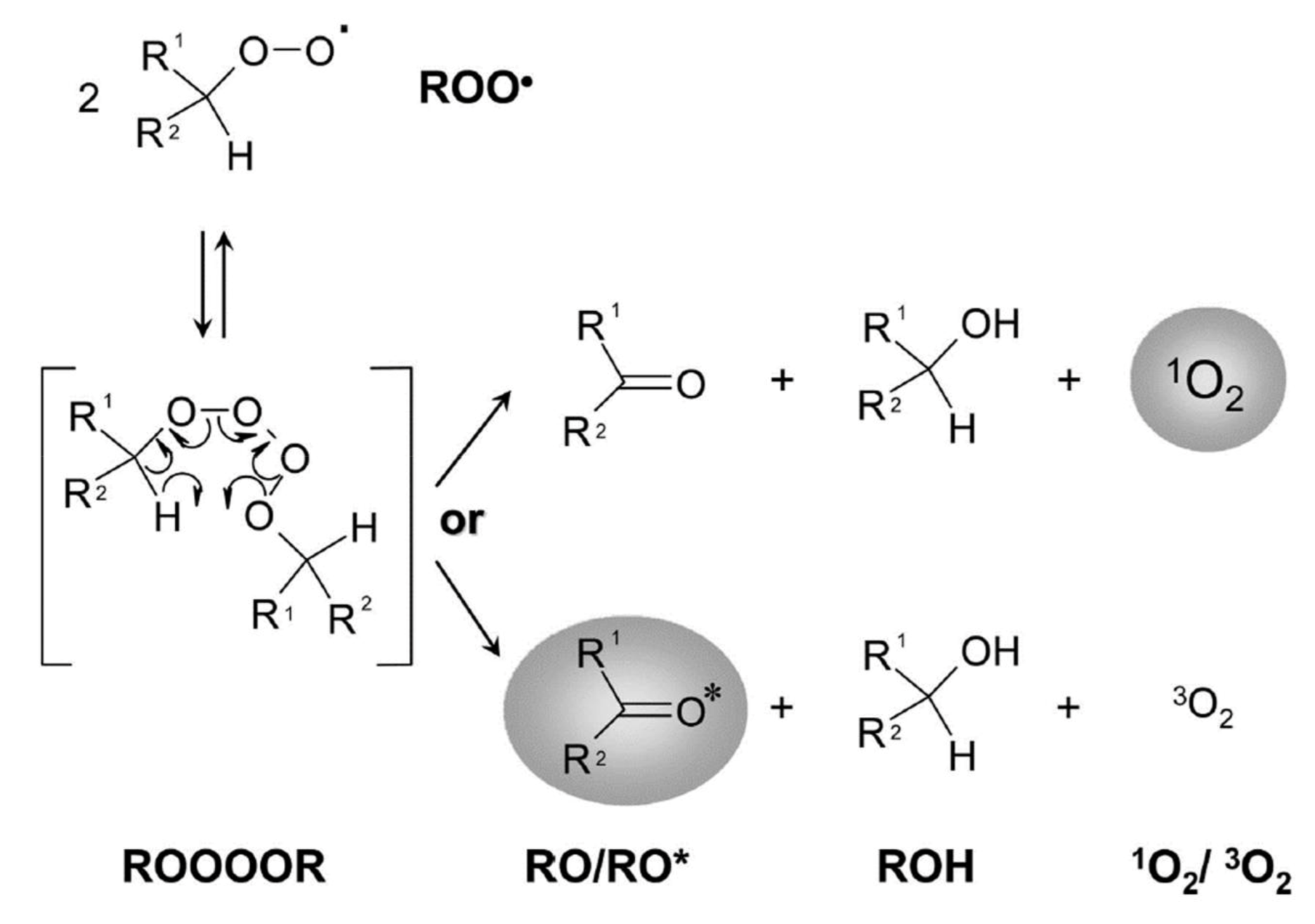 Molecules 27 02139 g005
