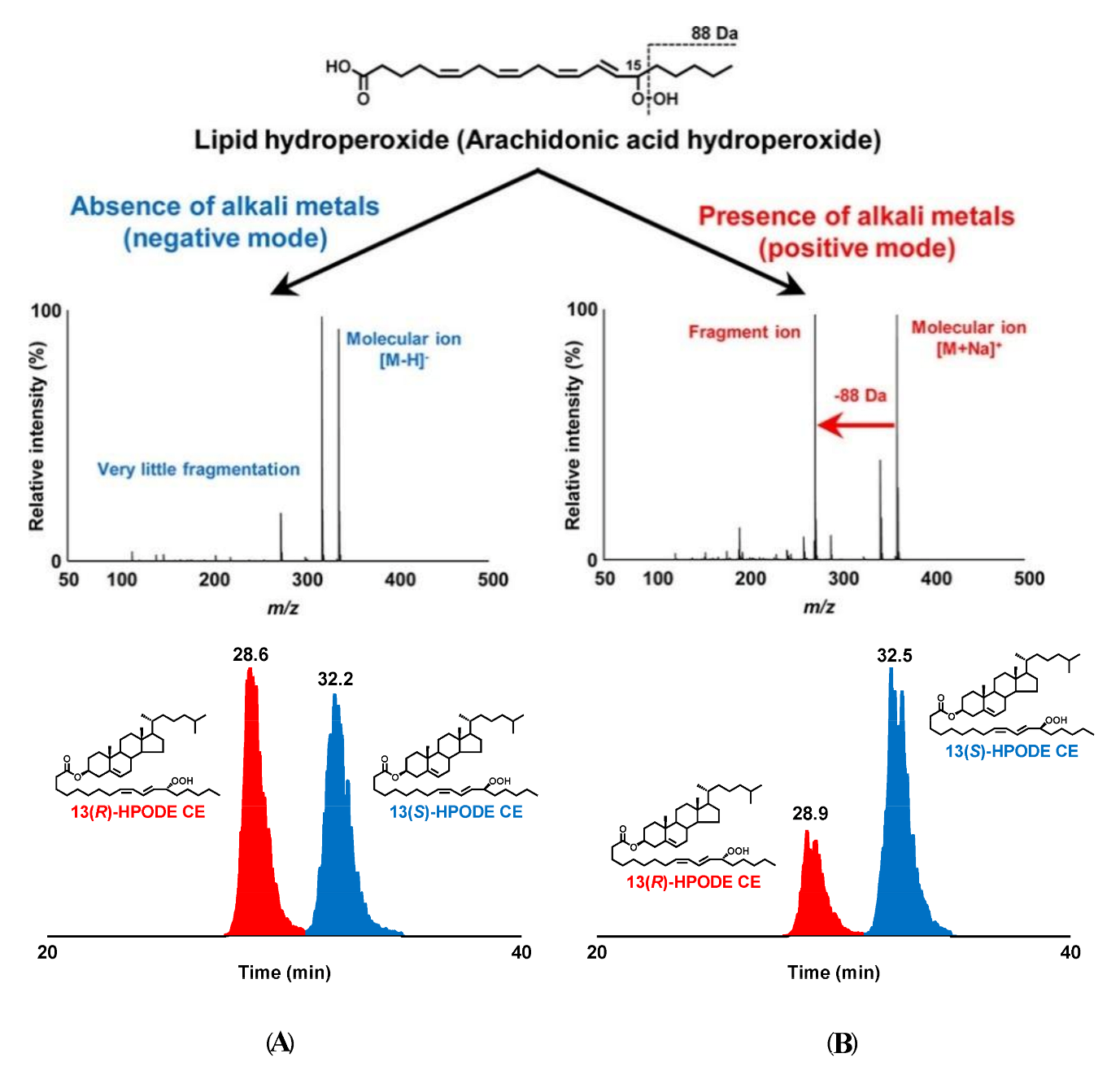 Molecules 27 02139 g013