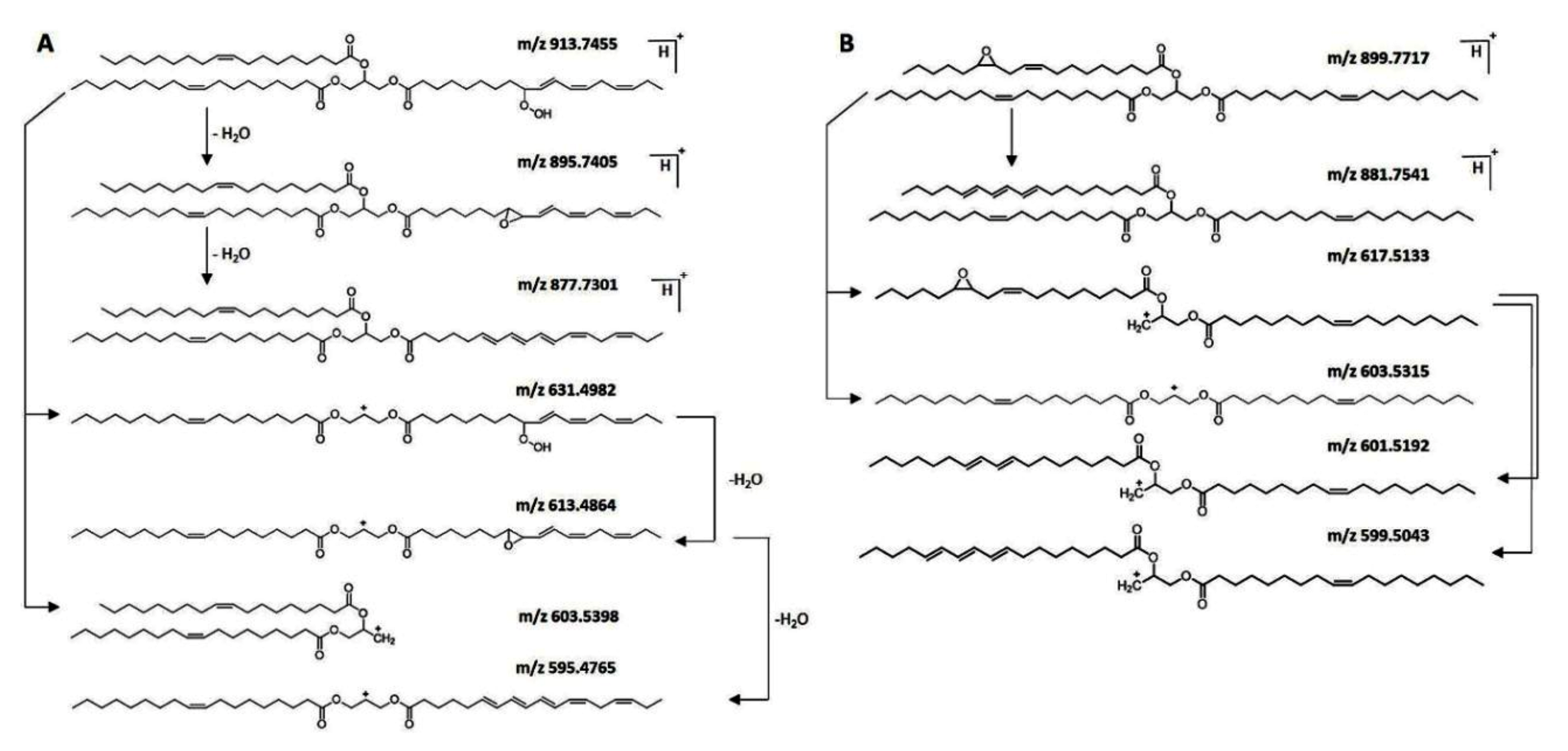 Molecules 27 02139 g017