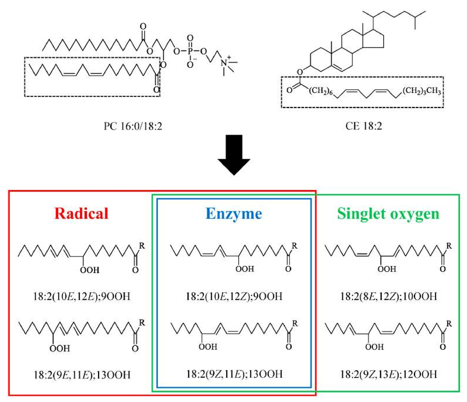 Molecules 27 02139 g018