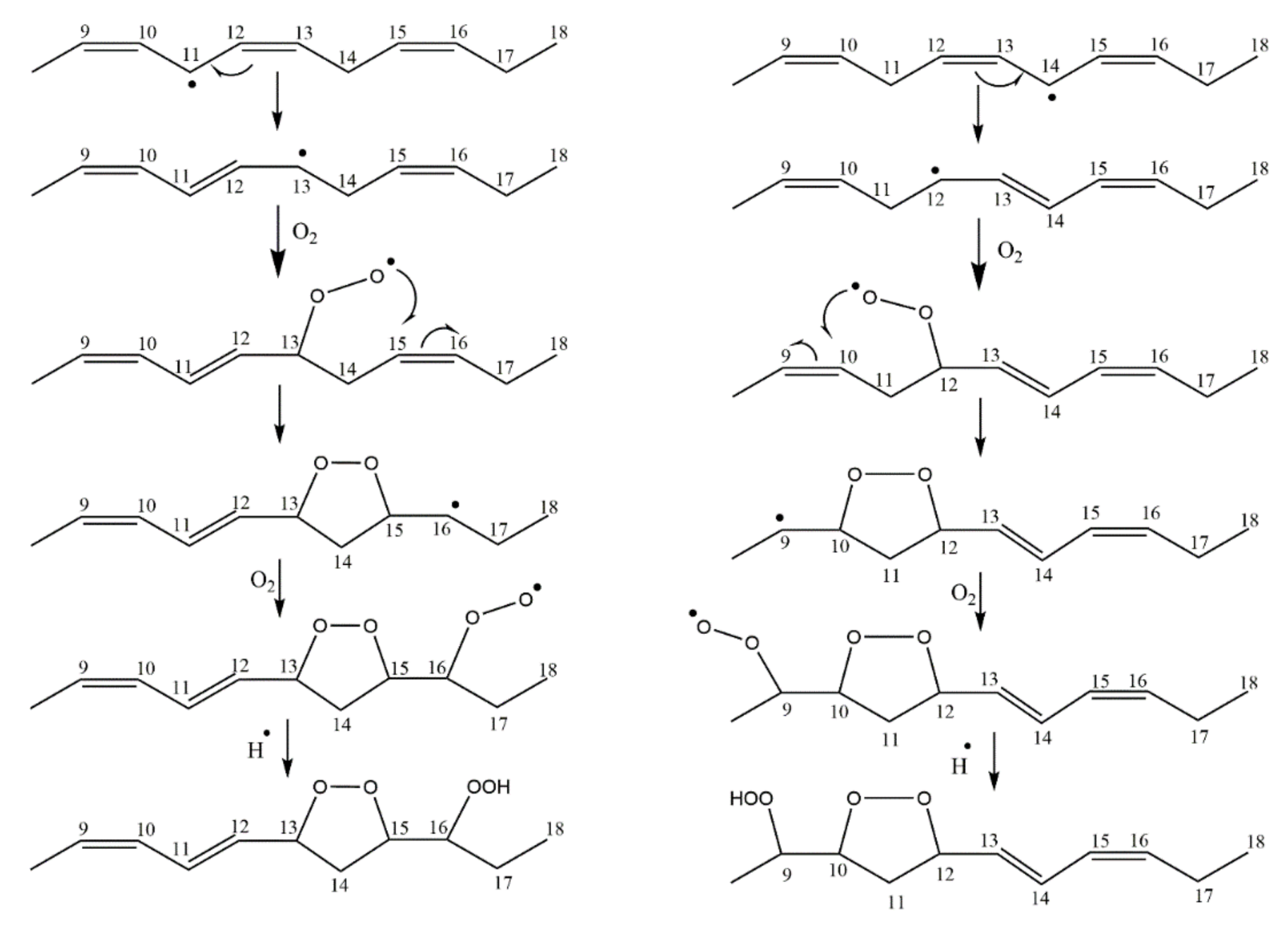 Molecules 27 02139 g048
