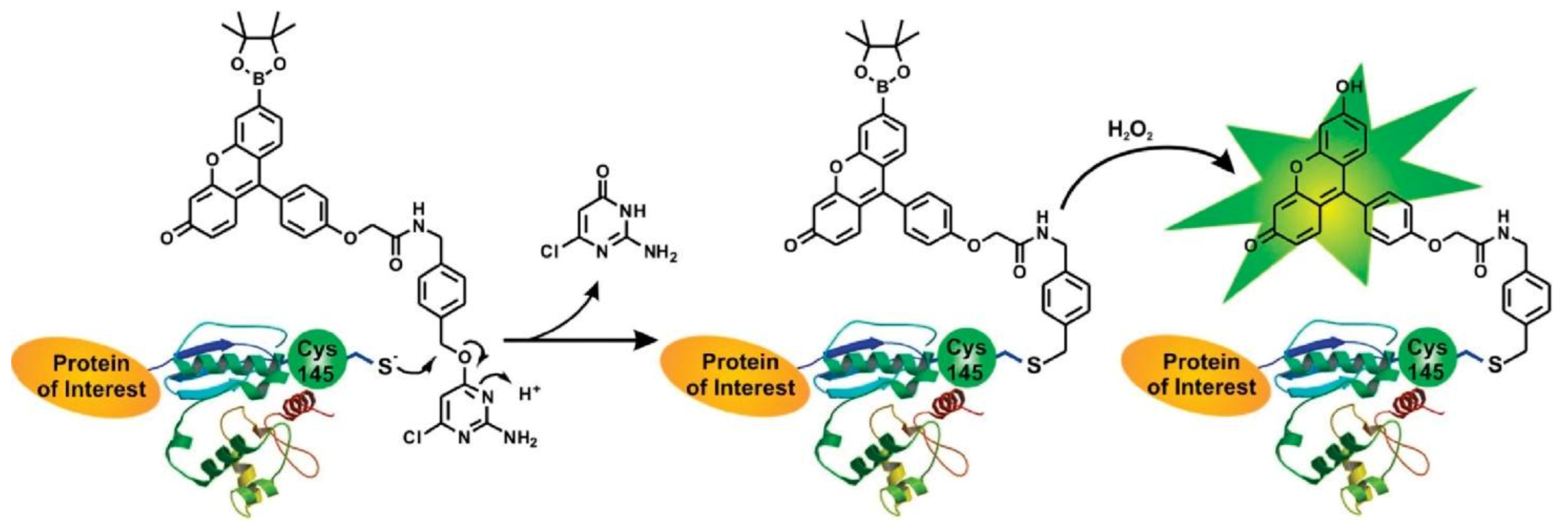 Molecules 27 02139 g050