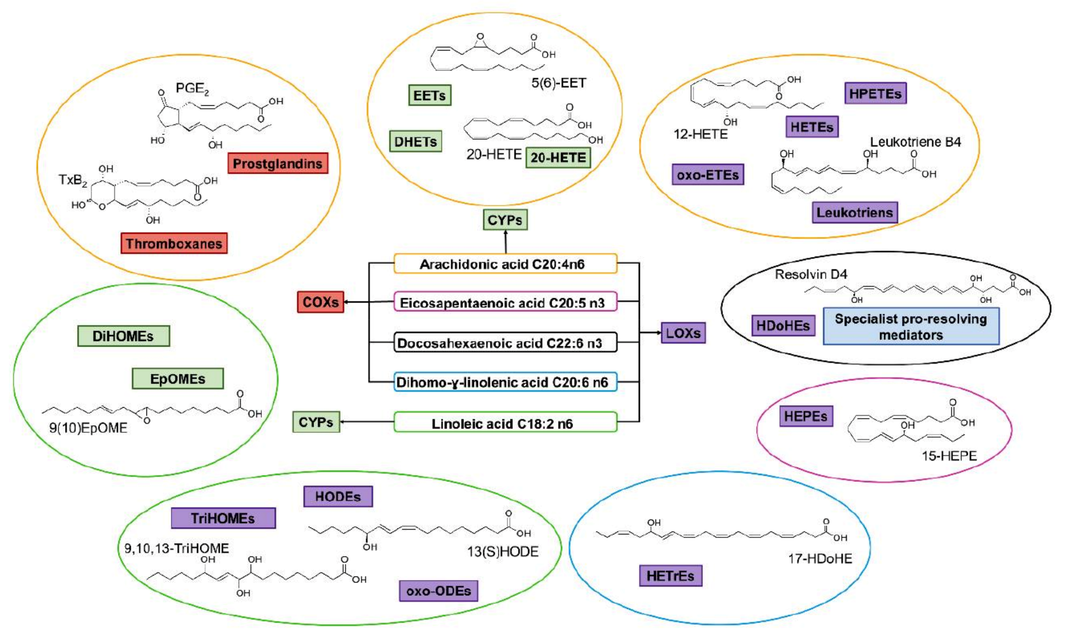 Molecules 27 02139 g051