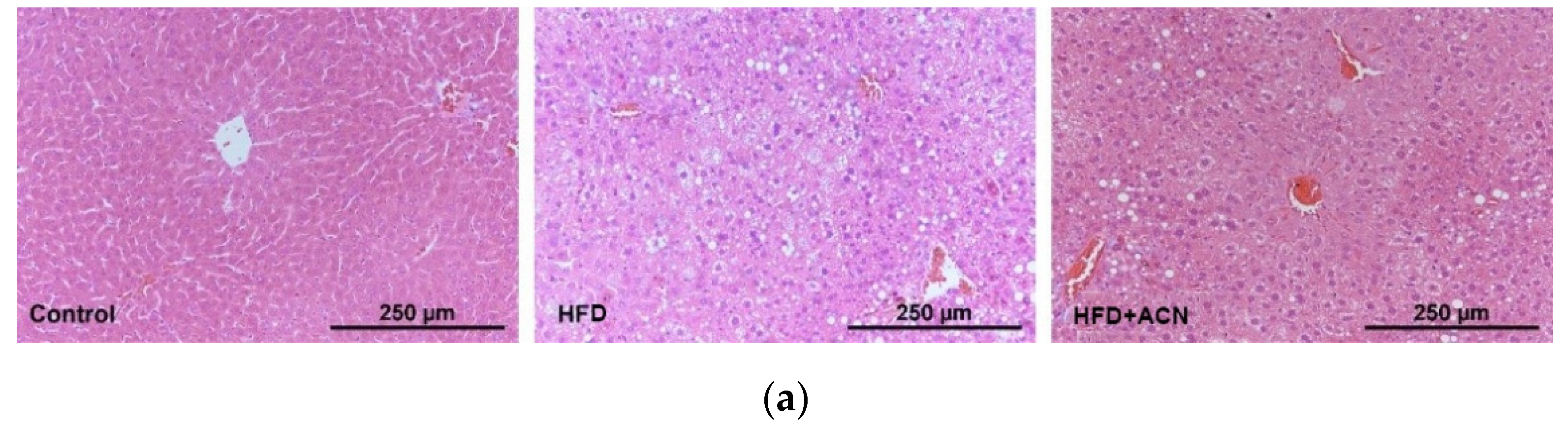 Molecules 27 02141 g003a