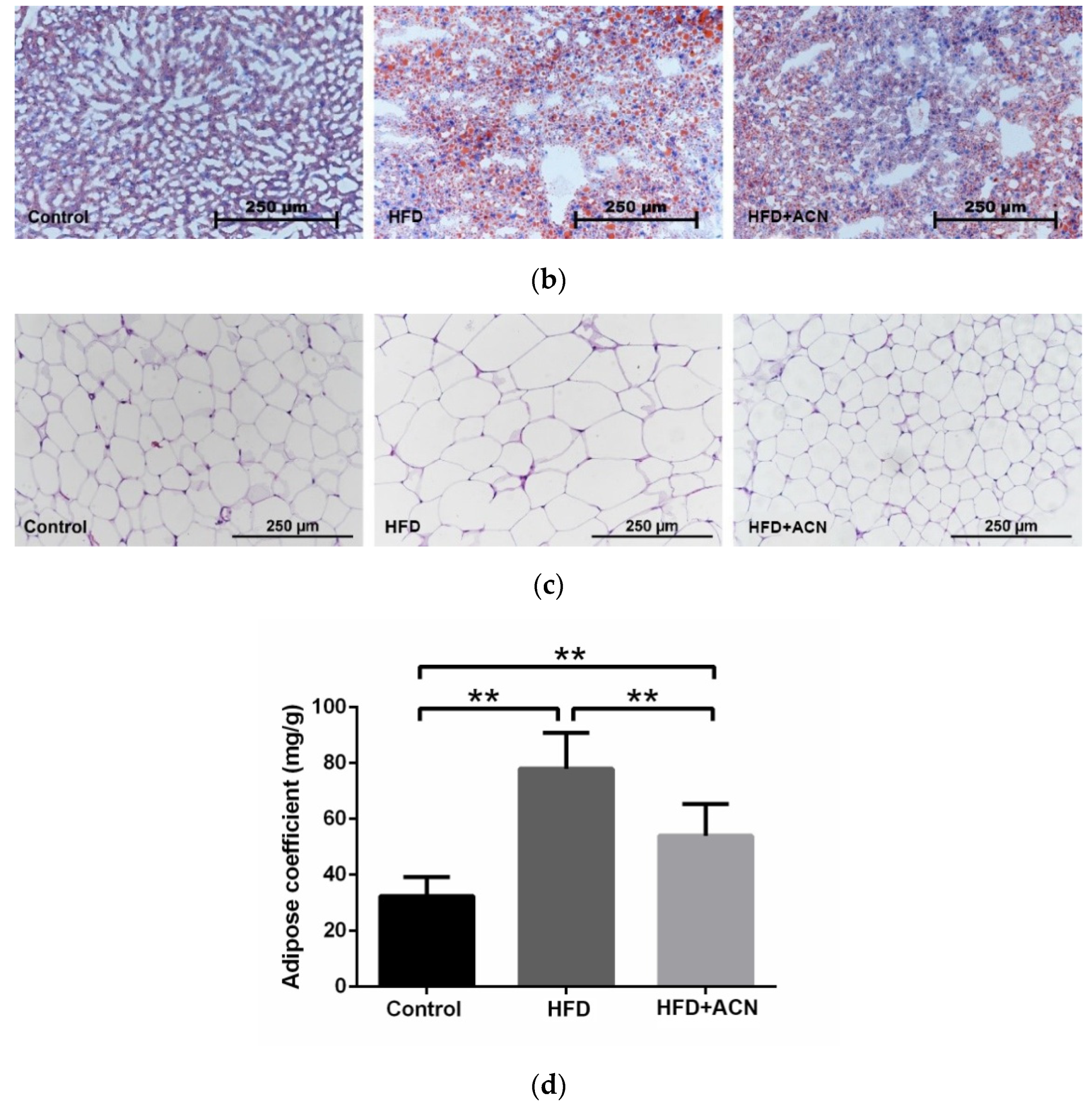 Molecules 27 02141 g003b