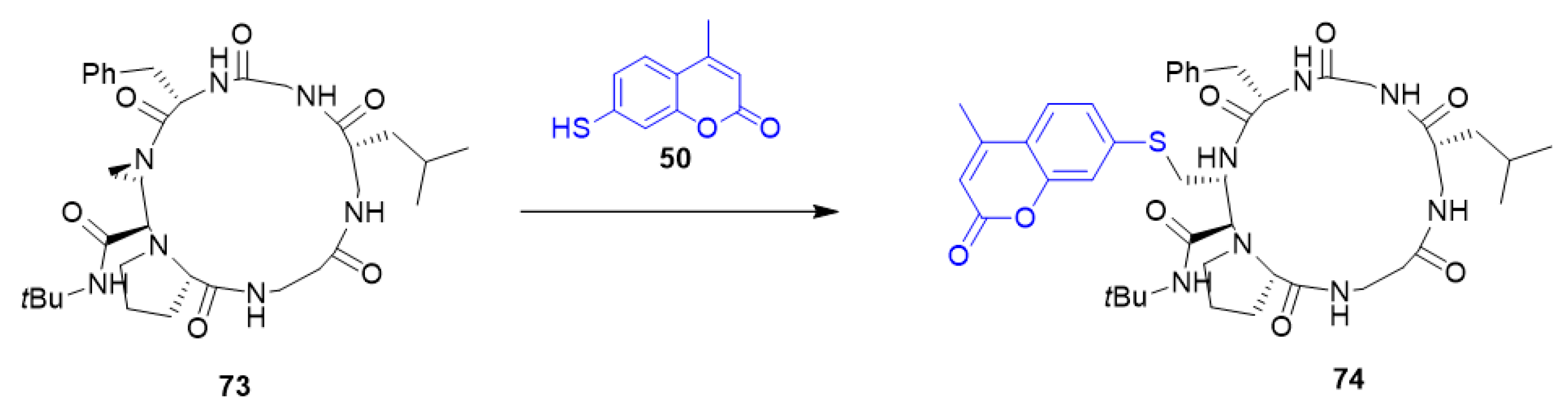 Molecules 27 02150 sch025