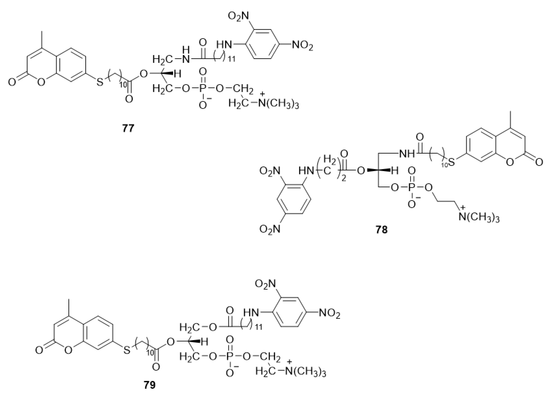 Molecules 27 02150 sch027