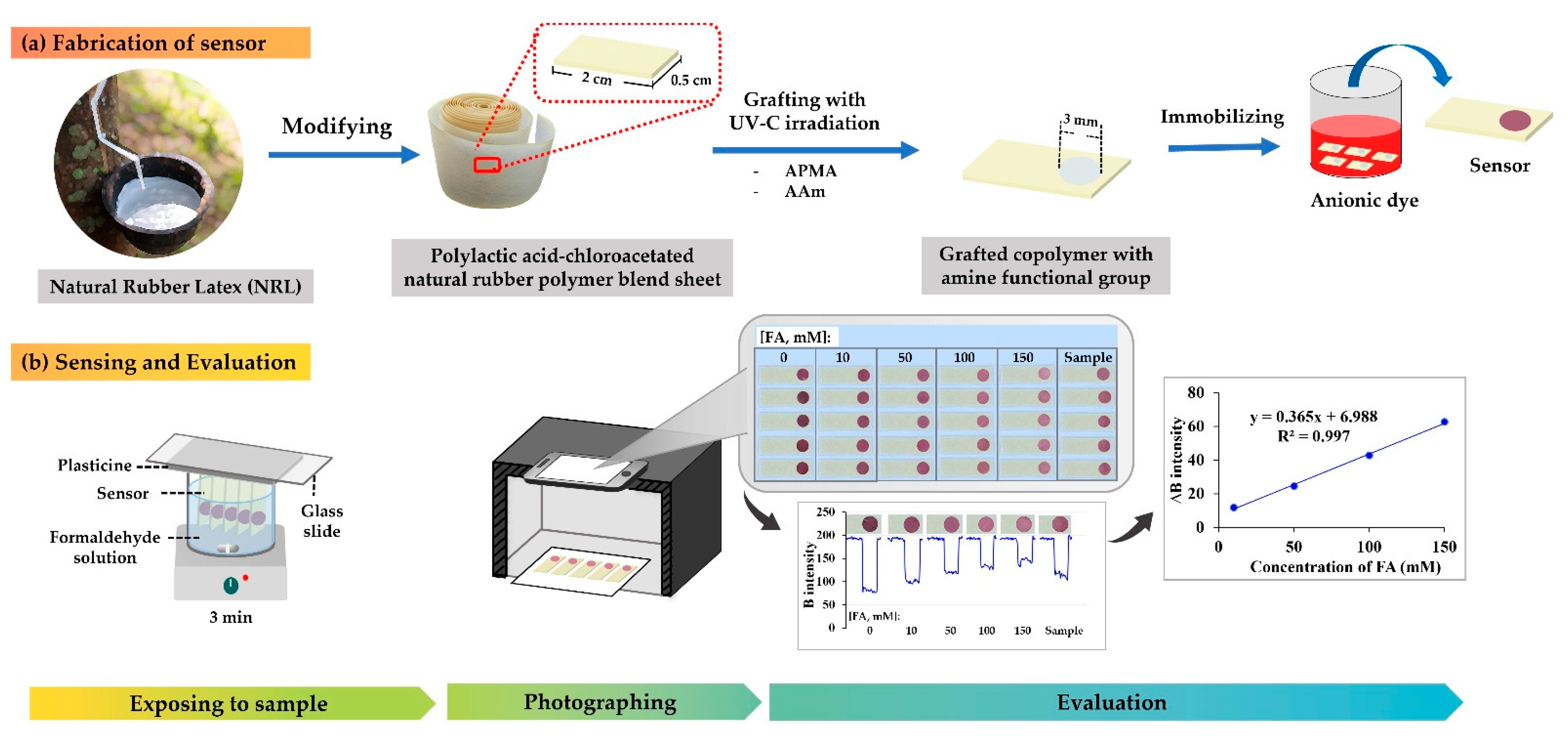 Molecules 27 02159 g004