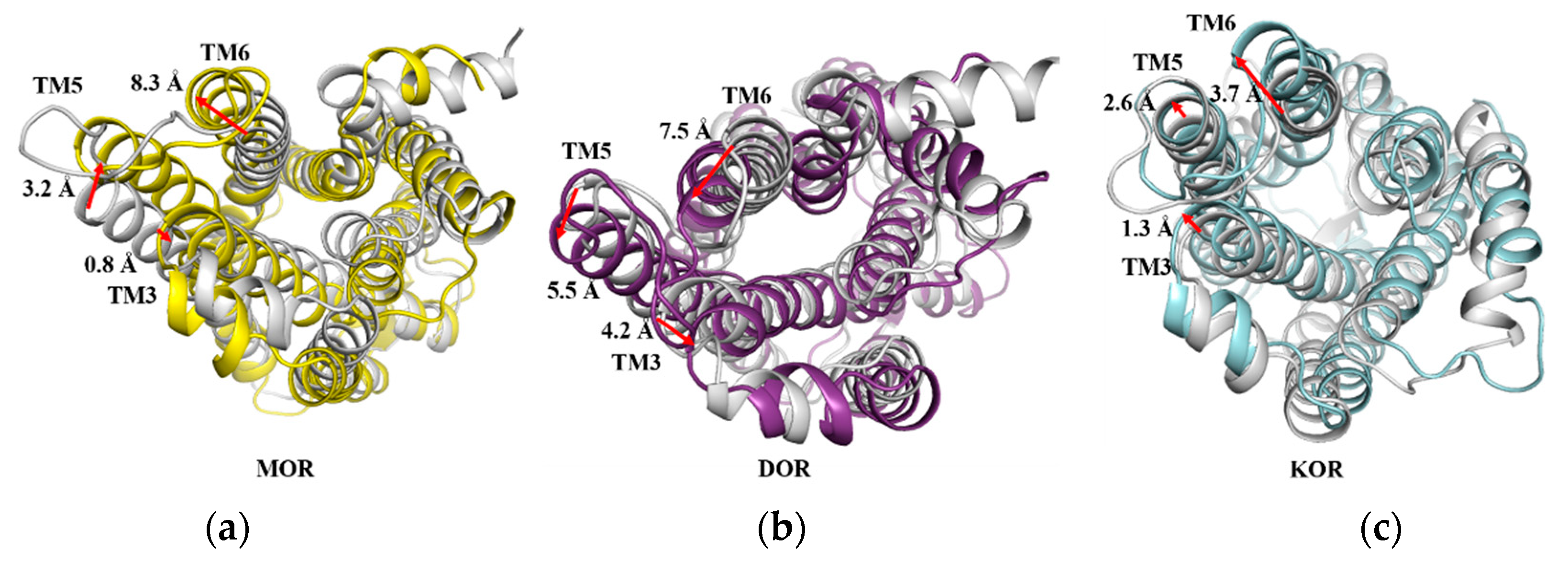 Molecules 27 02173 g013 Molecules 27 02173 g013