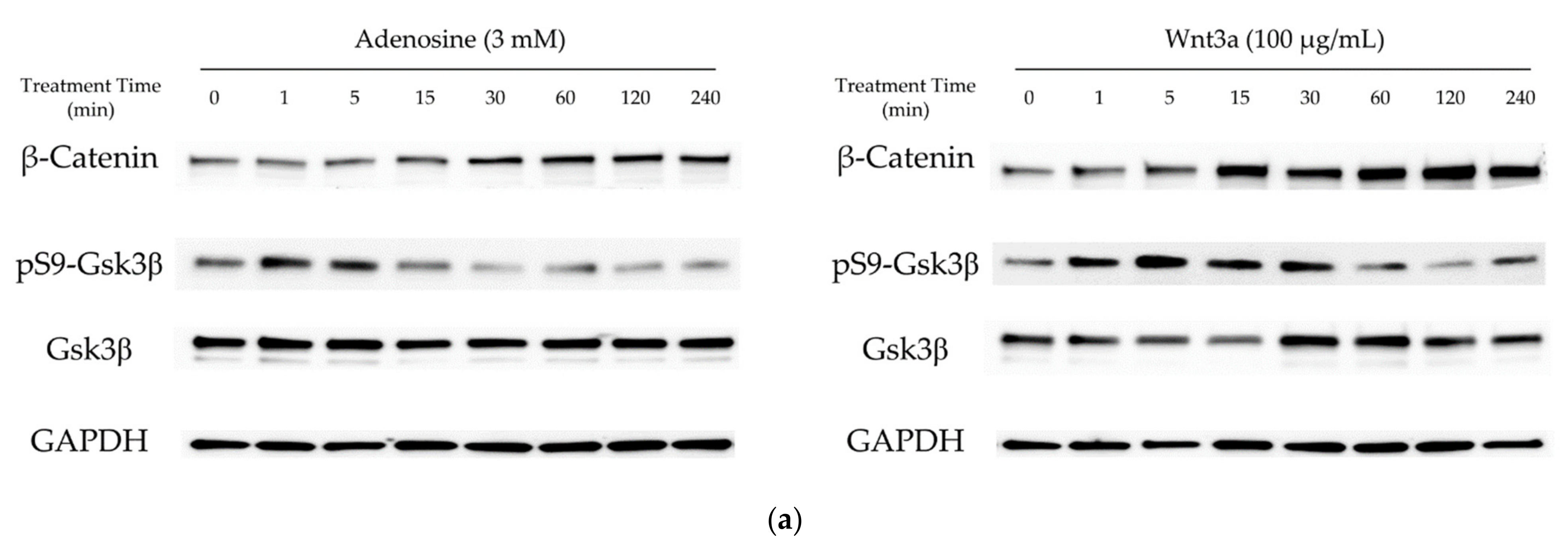 Molecules 27 02184 g001a