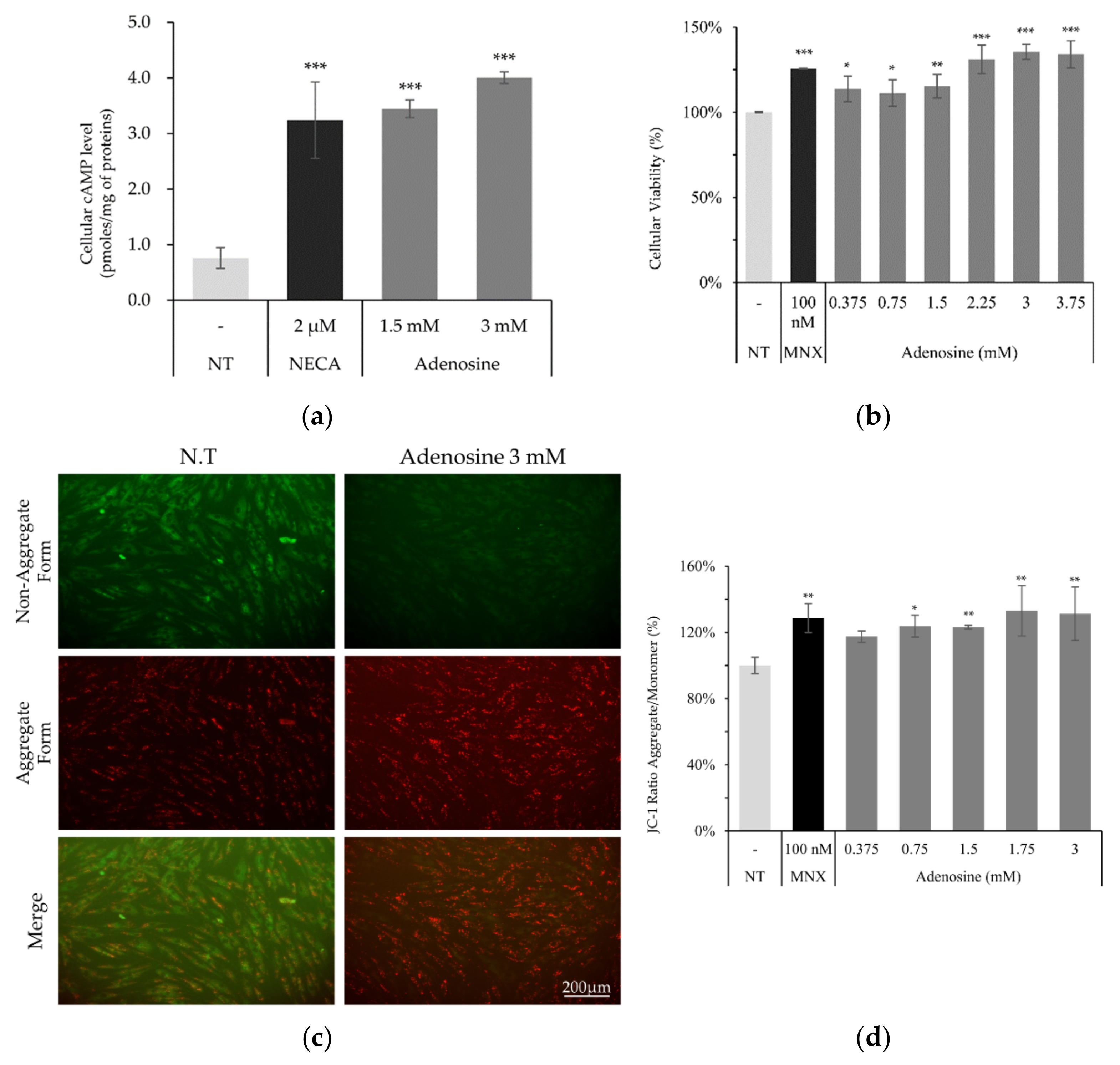 Molecules 27 02184 g002