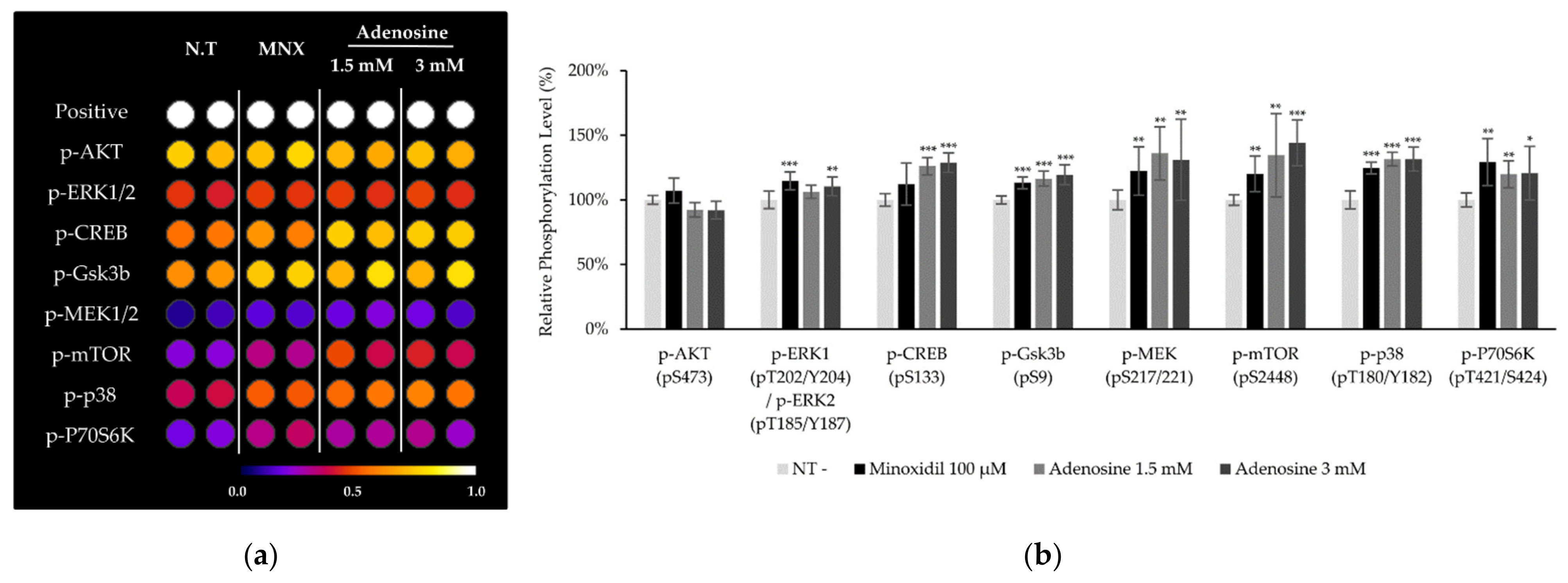 Molecules 27 02184 g004