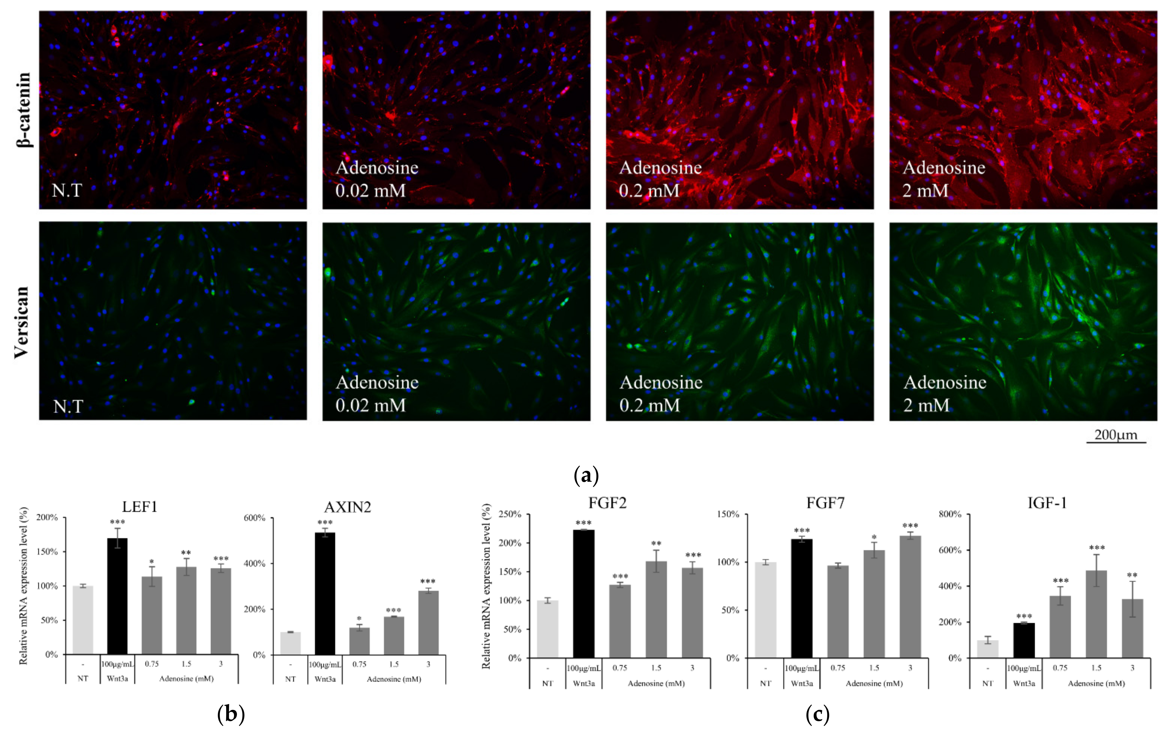 Molecules 27 02184 g005